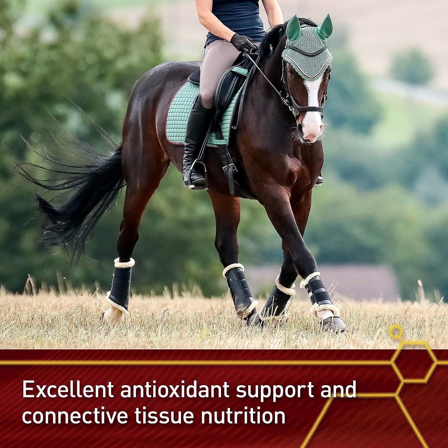 Vita Flex Pro Pure C Premium Quality Horse Vitamin C 2 Pounds 128Day