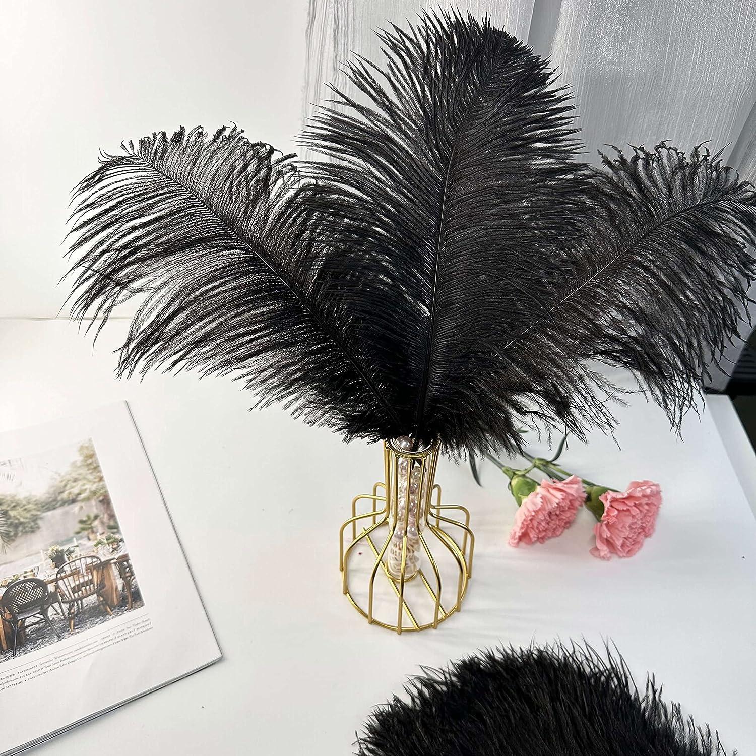 Piokio 20 pcs Natural Black Ostrich Feathers 6-8 inch(15-20 cm) Bulk for  DIY Halloween Decorations, Wedding Party Centerpieces, Gatsby Decorations -  Yahoo Shopping