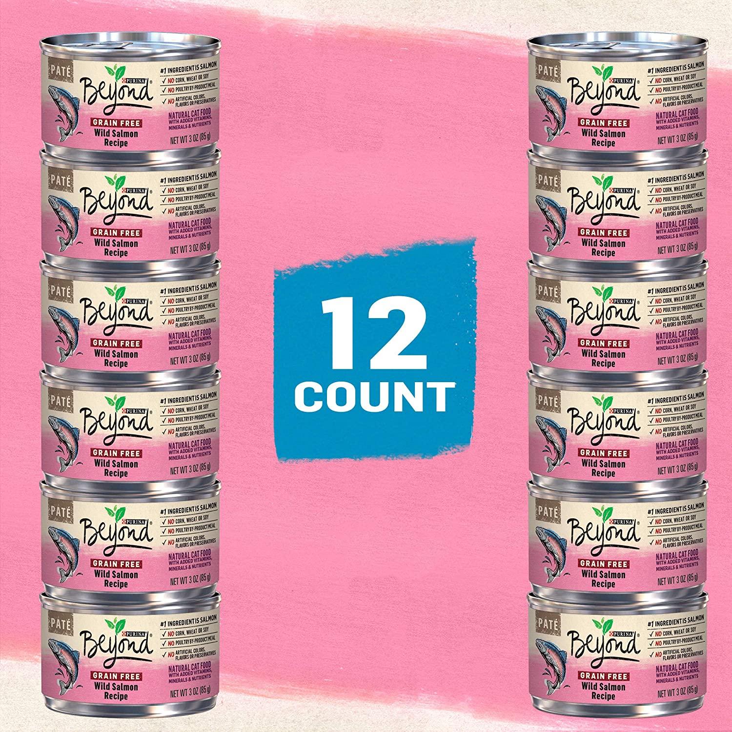 Beyond wild cat food hotsell