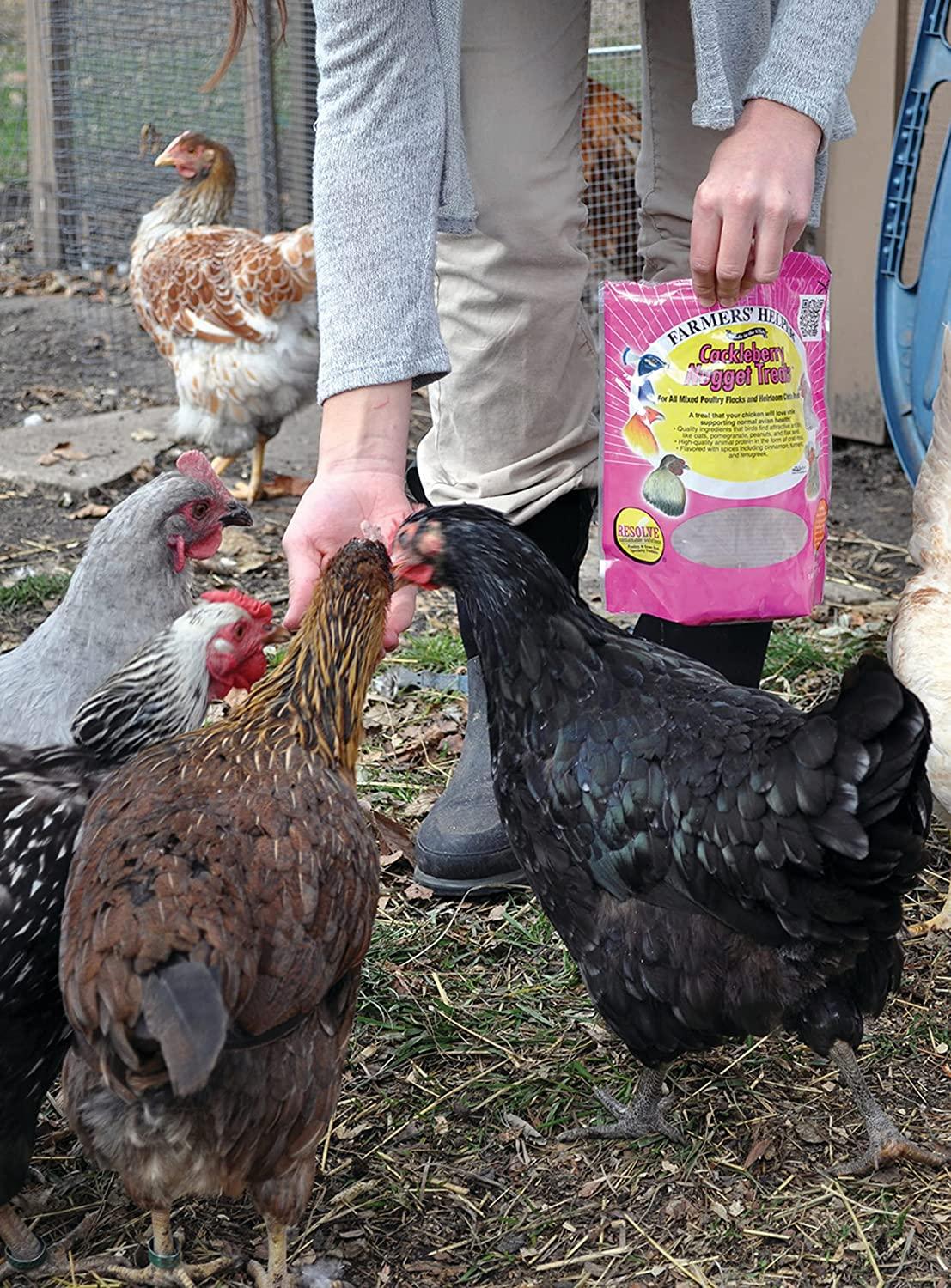 Farmers' Helper Cackleberry Nugget Treat For Chickens, Turkeys, Peafowl