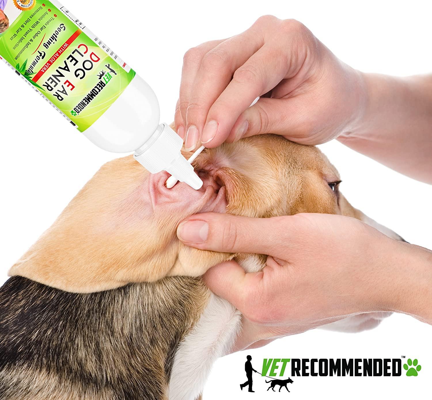 Vet Recommended Dog Ear Cleanser with Aloe Vera (8oz) - Made in USA |  Effective Cleaner for Yeast Infection | Buy Now with Express International  Delivery | GoSupps.com