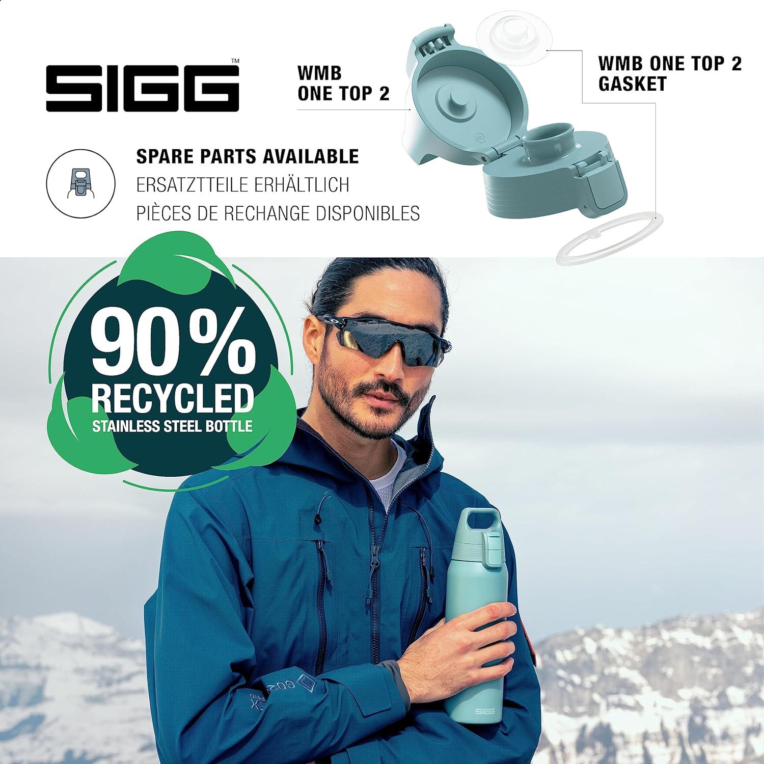 Aazon.co: SIGG - Stainless Steel Water Bottle - Shield ONE Dusk
