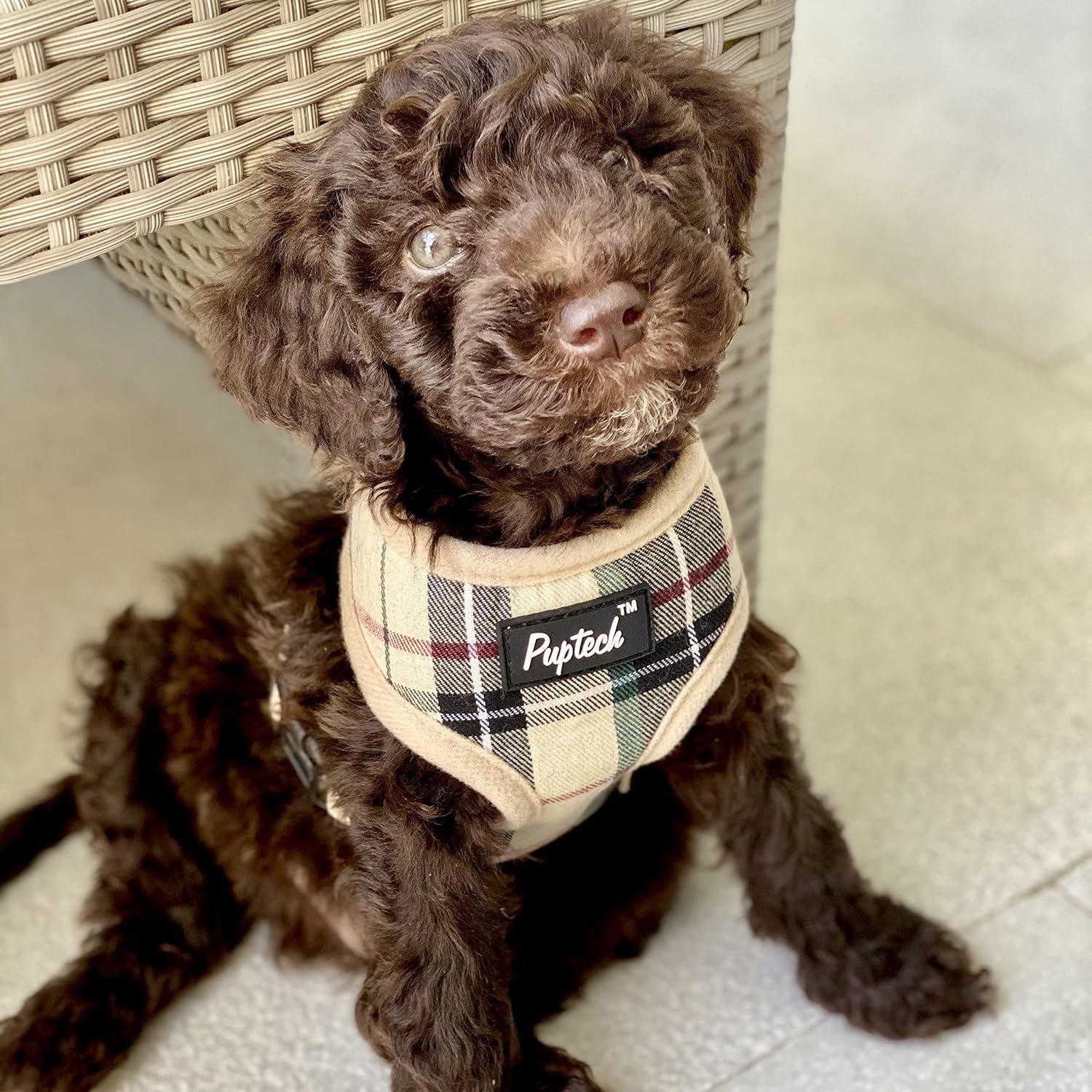 PUPTECK Small Dog Soft Mesh Harness Lead Set XS Beige