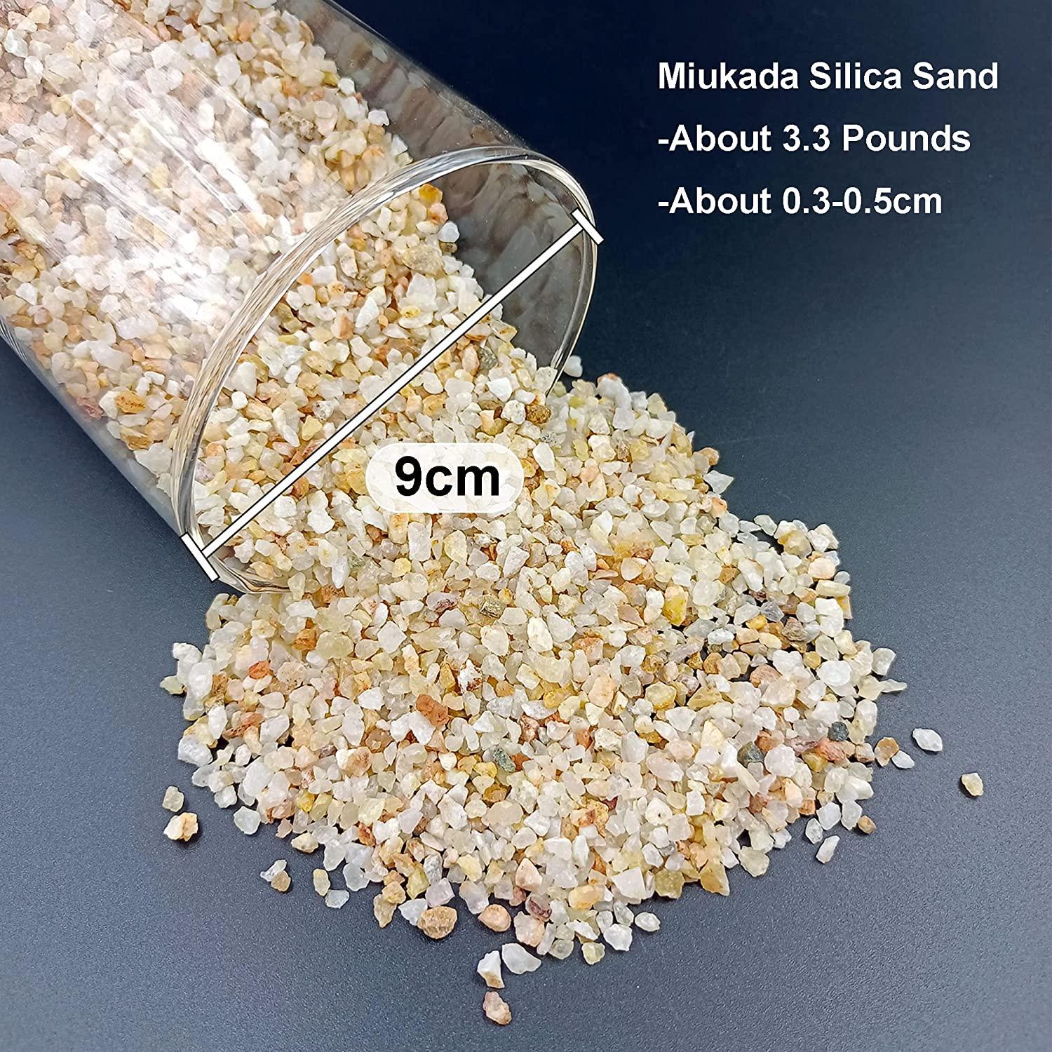Miukada 3.3 Pounds Coarse Silica Sand, Mini Natural Top Dressing Sand, Mix  Plant Soil Cover for Bonsai, Succulent and Cactus