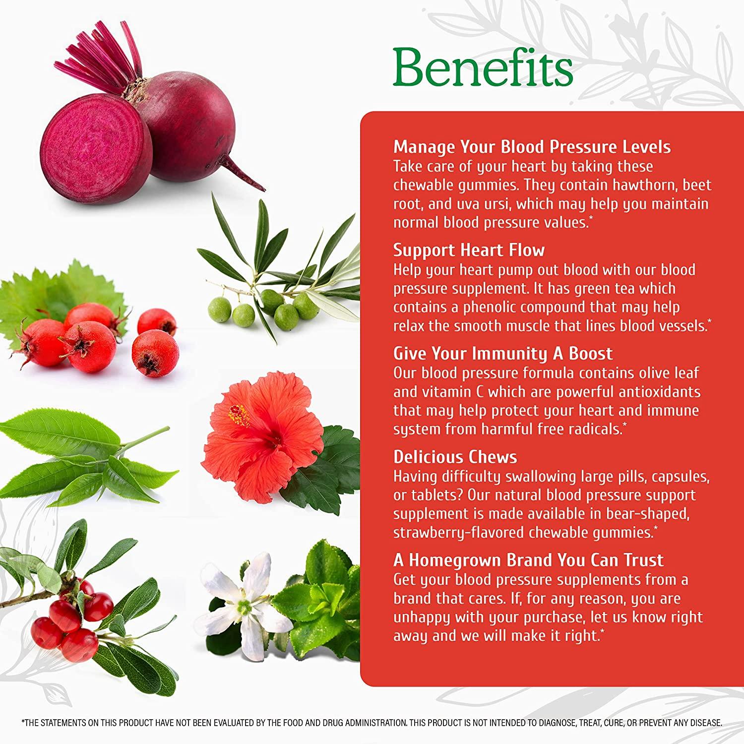 Wild Organic Blood Pressure Support Gummies Dietary Supplement for
