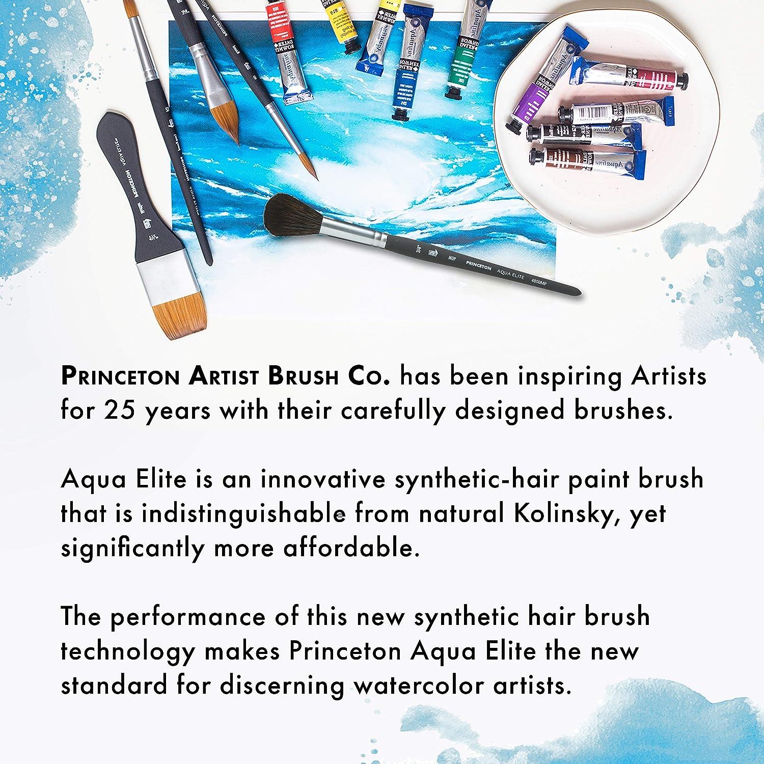 Princeton Artist Brush Co. Aqua Elite Professional Watercolor Paint Brushes 4850 Series - 4pc Synthetic Kolinsky Sable Watercolor Brush Set - Watercol