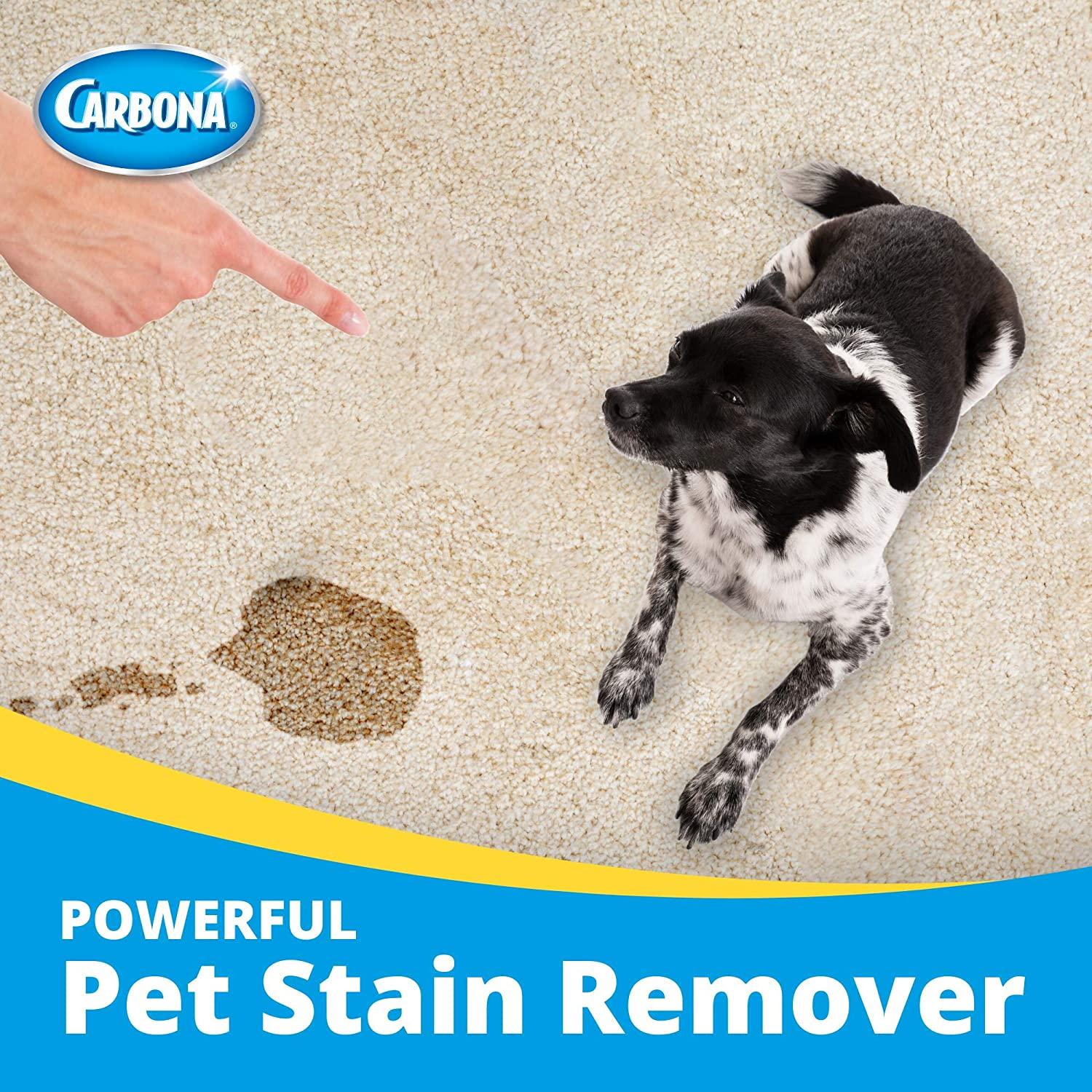 Carbona Oxy-Powered Pet Stain & Odor Remover w/ Active Foam Technology