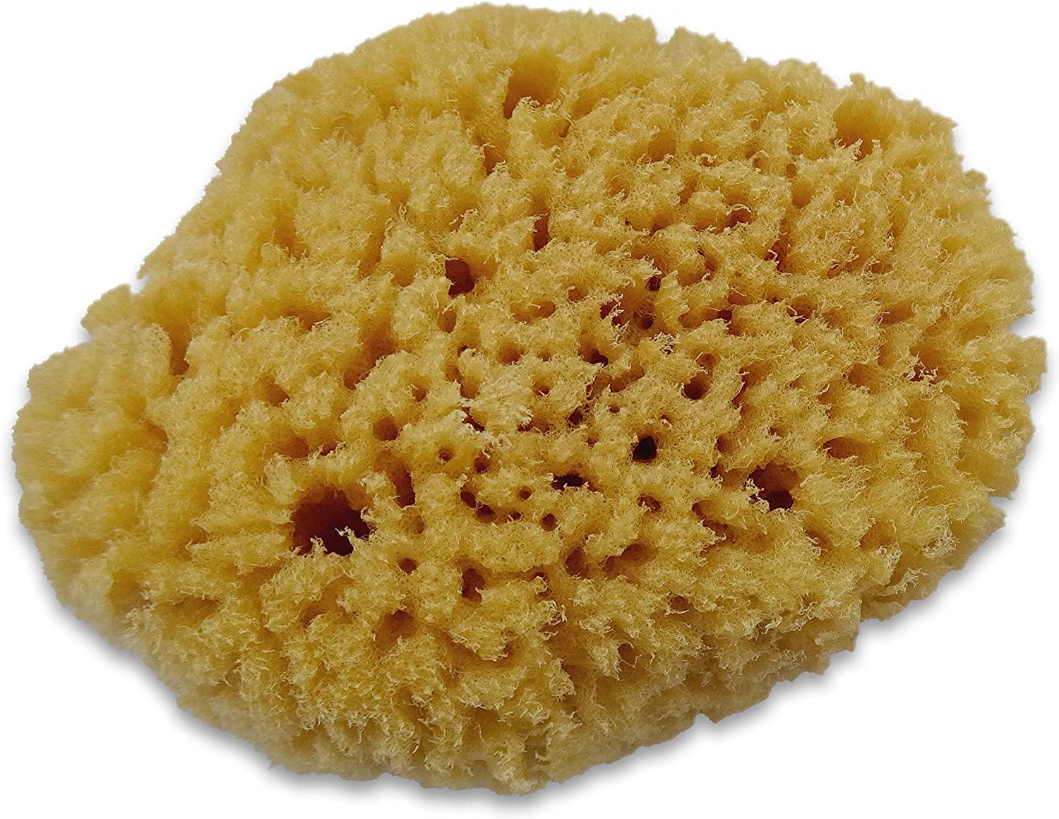 Unbleached Natural Sea Sponge