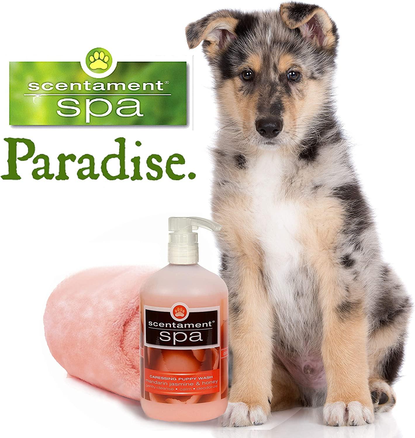 Best Shot Pet Scentament Wild Orchid Vanilla Puppy Conditioner 16 oz