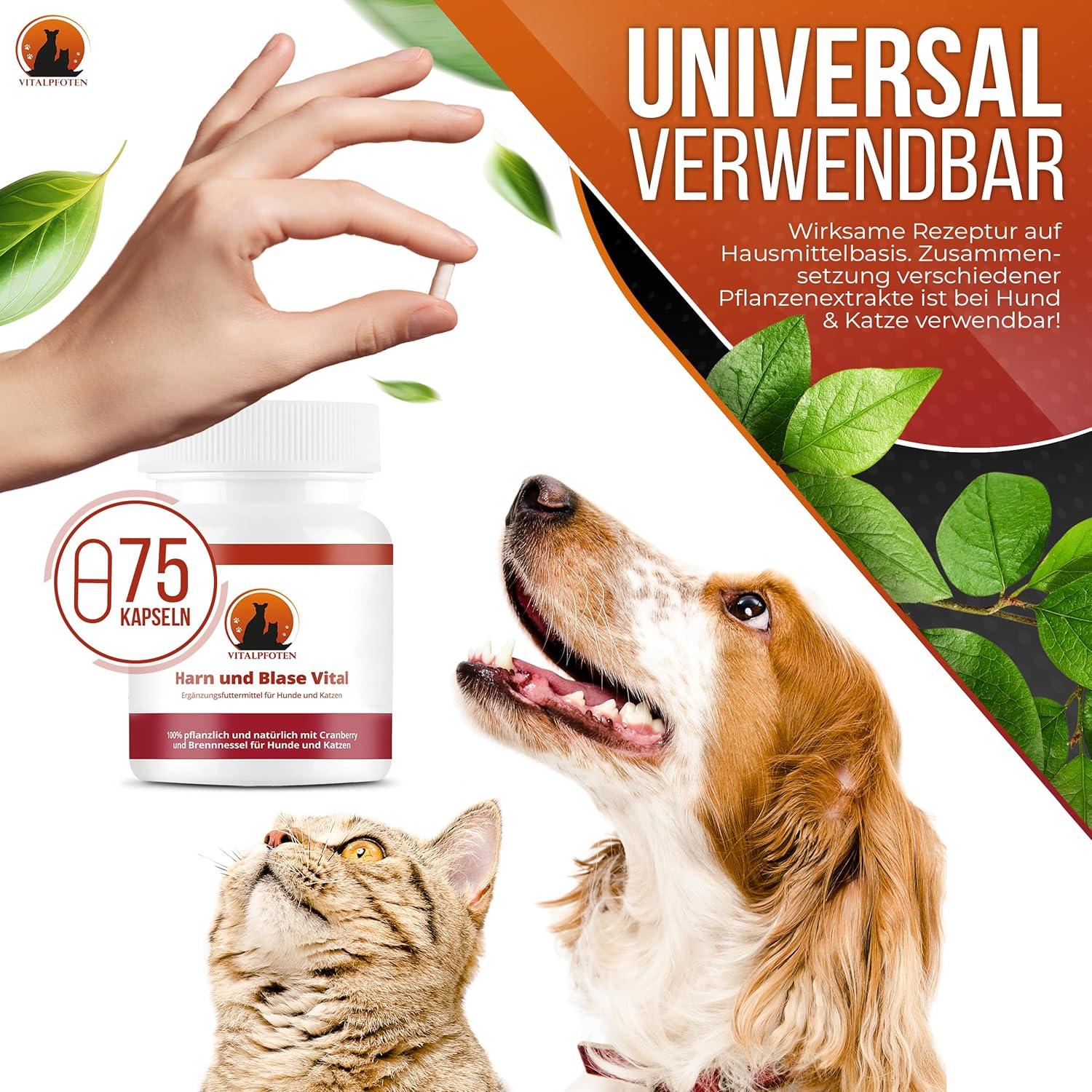 Vital Paws 3x75 Urine & Bladder Capsules for Dogs & Cats | Herbal Home ...