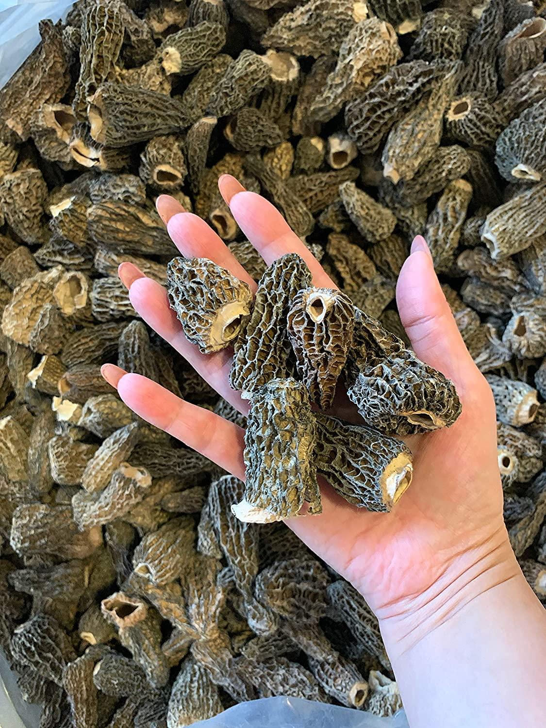 Premium Wild Dried Canadian Morel Mushrooms 2 oz. / 57g