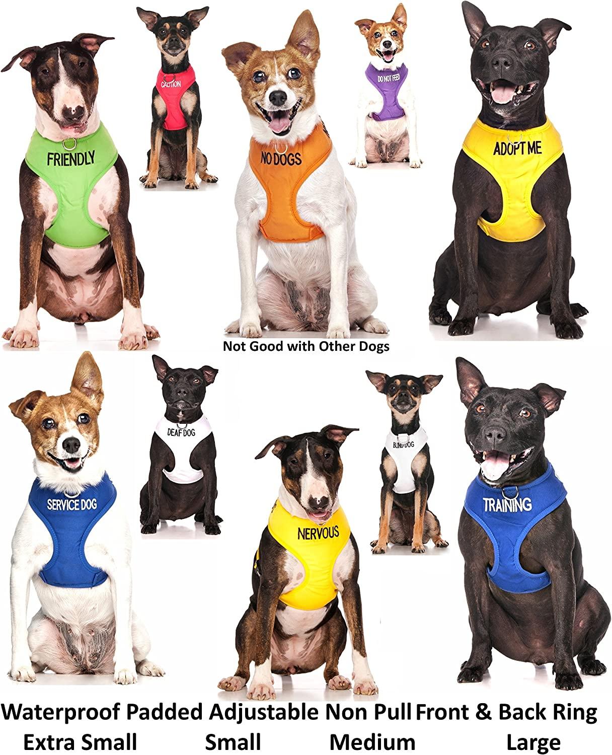 Buy Dogline Adopt Me Vest Patches - Removable Adopt Me Patch 2