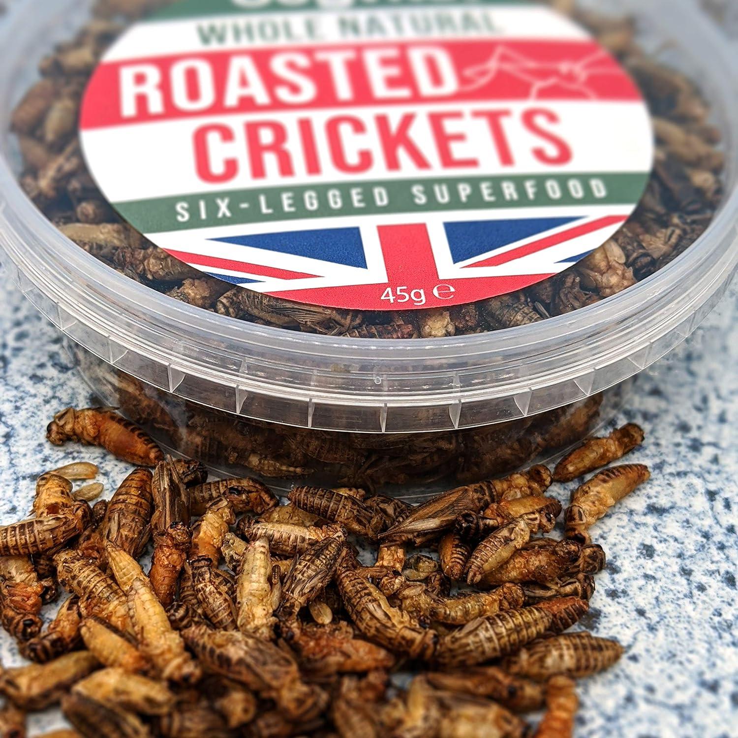 Crunchy Whole Roasted Crickets 48g Farmed in The UK SixLegged Superfood Edible insects