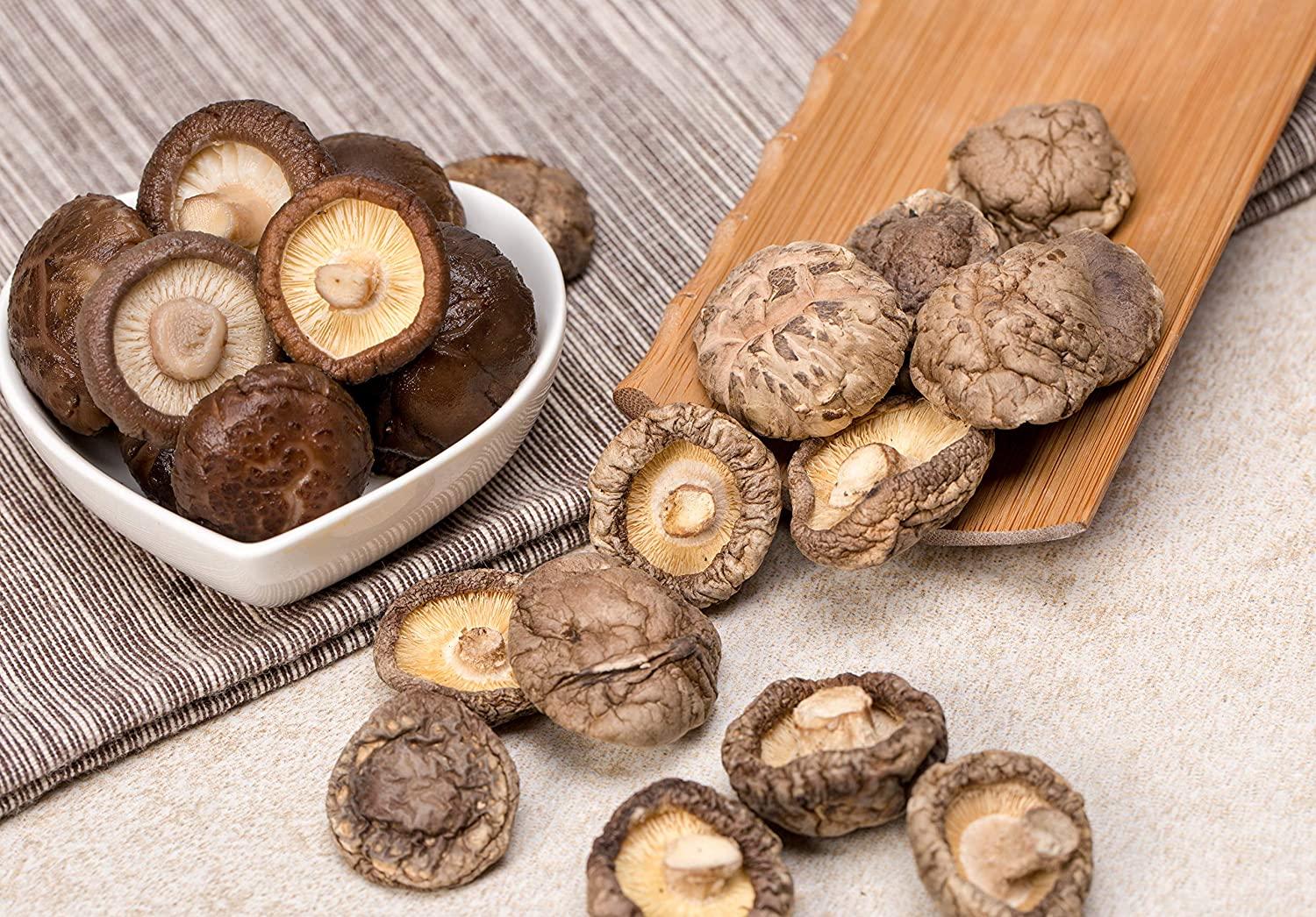 Shiitake Bulk Fresh - Mousam Valley Mushrooms