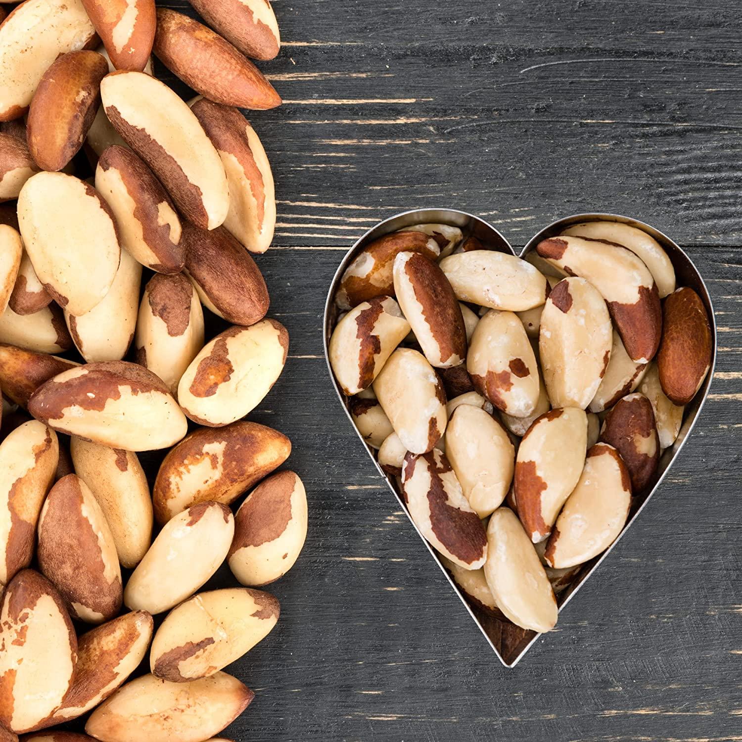 The Amish EcoFarm Medium Brazil Nuts 2 Lbs Raw, Fresh, Vegan & Keto