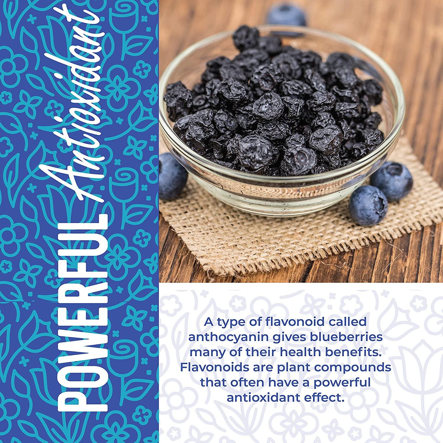 Dried Blueberries No Sugar Added, 16 oz. Whole Dry Blue Berries, Bulk