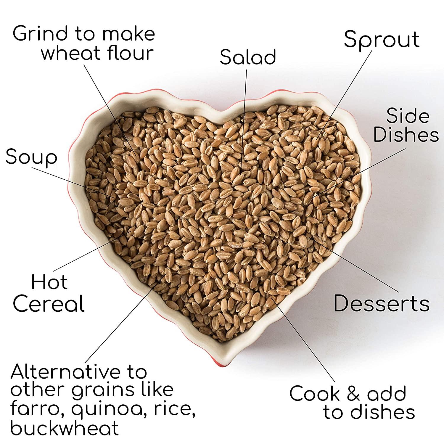 Shipetaukin Organic Soft White Wheat Berries Certified Organic