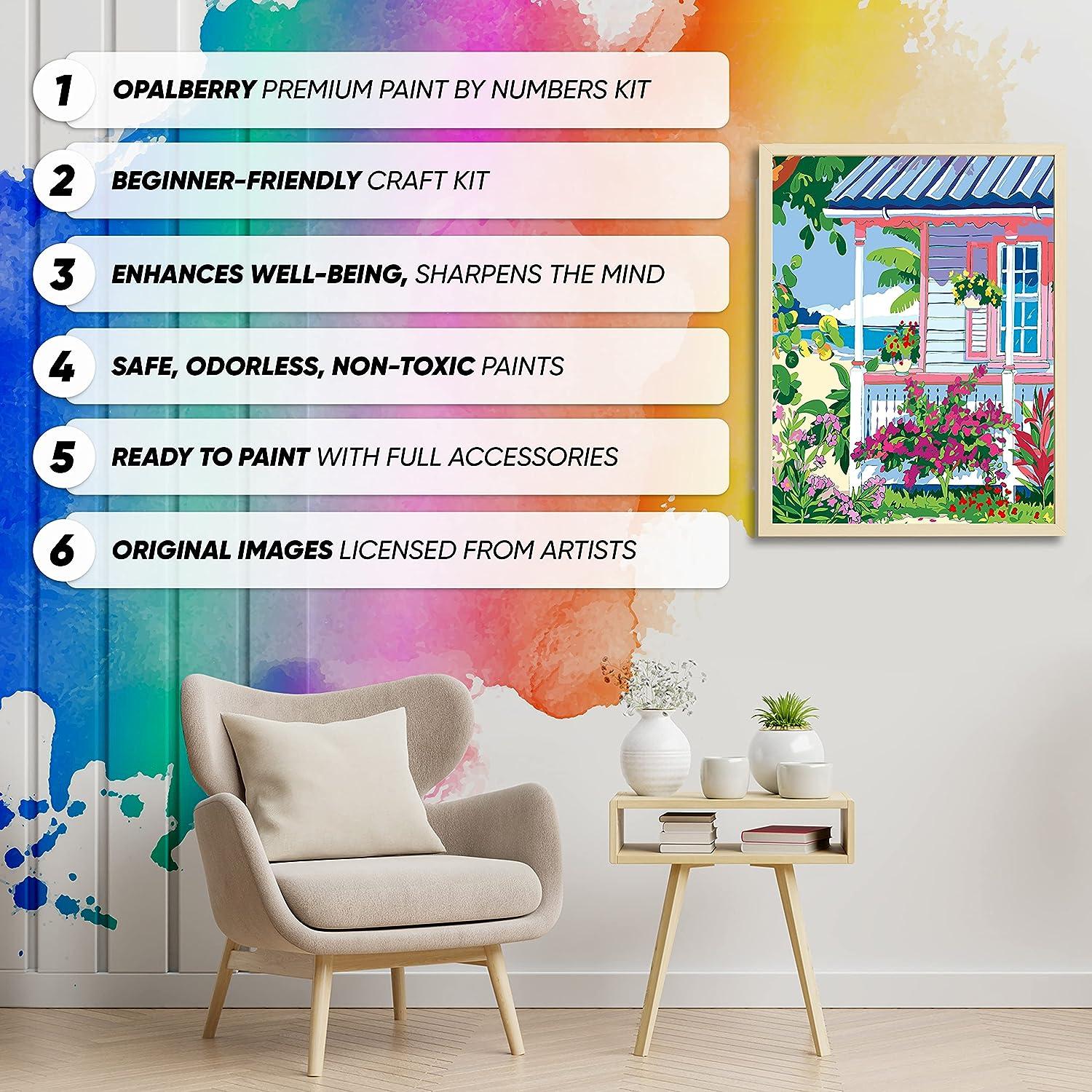 Opalberry Paint by Numbers for Adults Framed - Adults' Paint-by