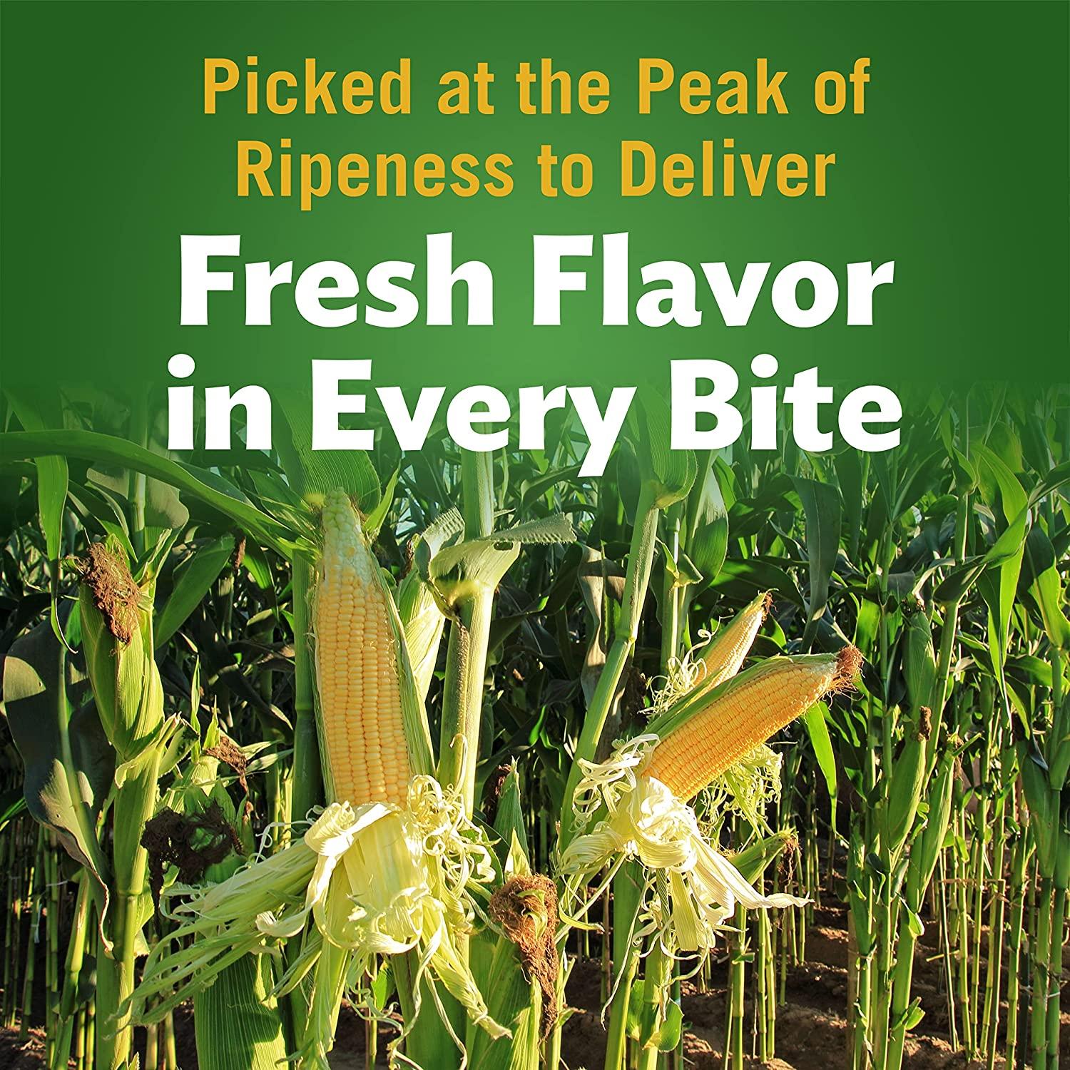 Del Monte Vegetable & Bean Blends, Mexican Style, 14.5Ounce Can