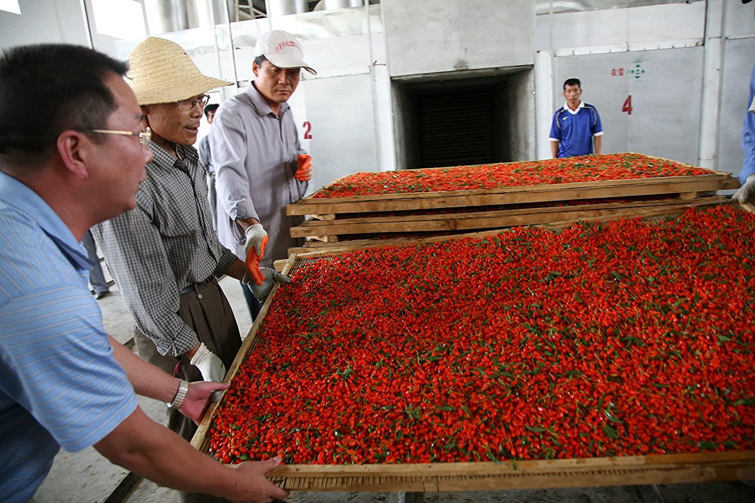 Wholeberry organic wolfberry gouqi Goji berries 32oz Raw Vegan Gluten