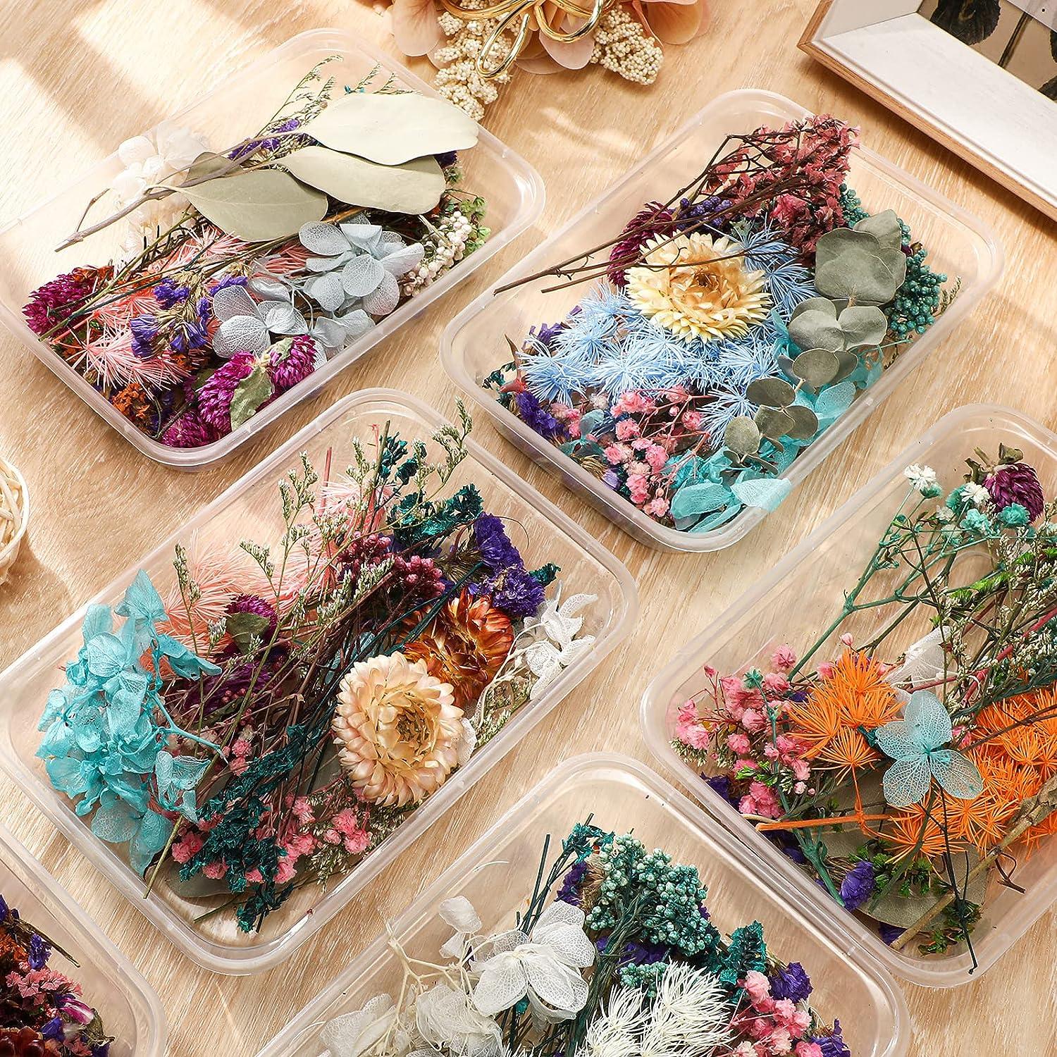Coume 6 Boxes Dried Flowers for Resin Mixed Pressed Dry Flower Leaves  Multiple Natural Real Mini Crafts Colorful Handmade Plants Soap DIY Jewelry  Pendant Floral Decors