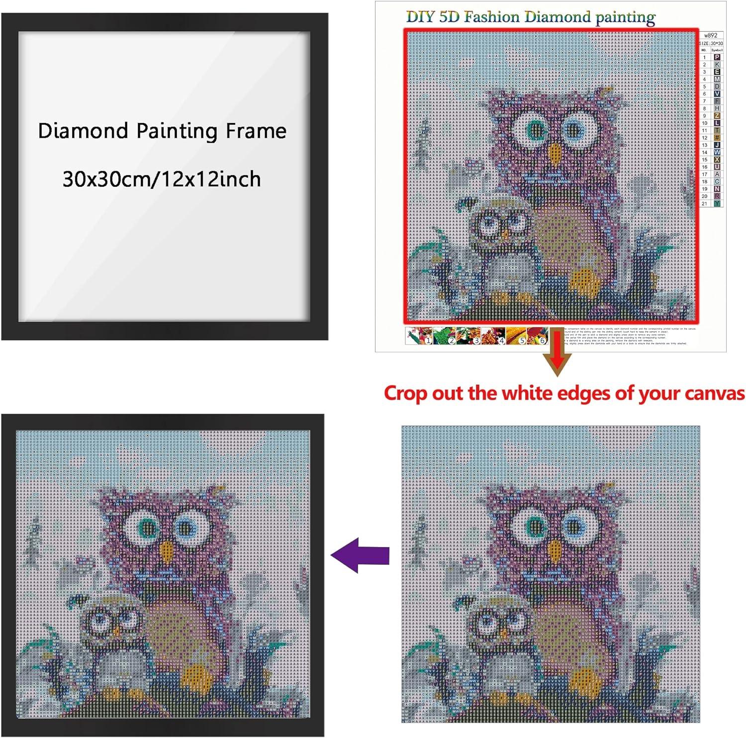 8 Packs Diamond Painting Frames Magnetic Frames for Diamond