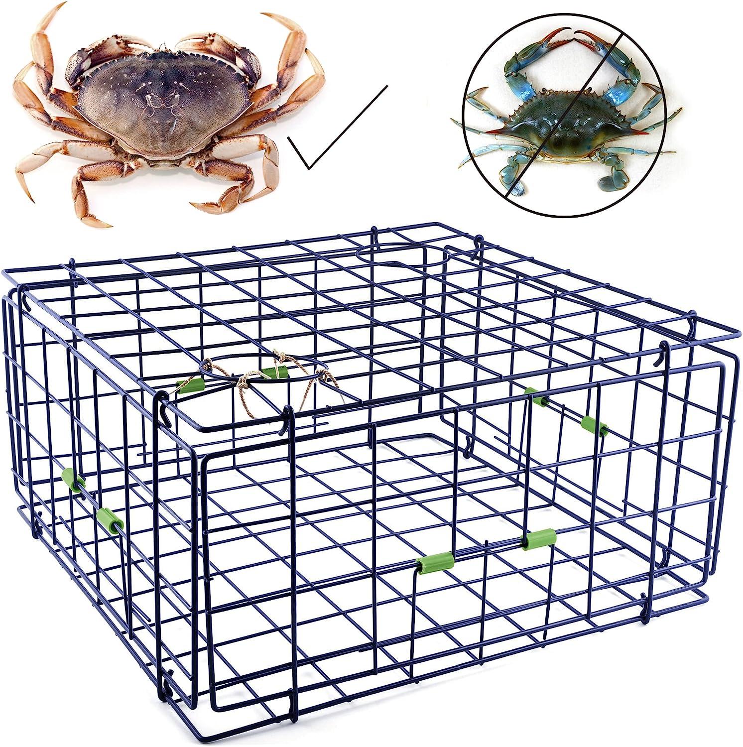 Danielson 24 Fold-Up Pacific Coast Crab Trap, Vinyl-Coated Steel Wire,  Foldable, Easy Storage & Transport, 4 Entrance Doors & 2 Escape Rings