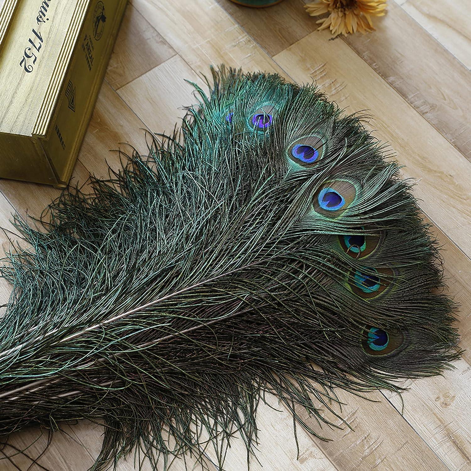 Natural Peacock Feathers, Peacock Feather 70-80cm, Wedding Supplies