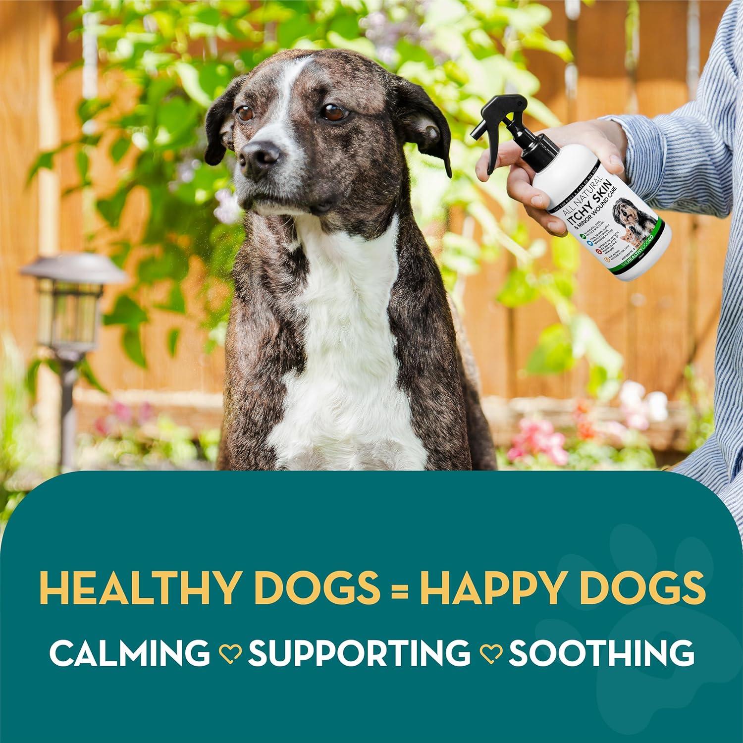 Dry Help Itchy Dog Dry Itchy Skin On Dogs Remedy Dry Itchy Skin On