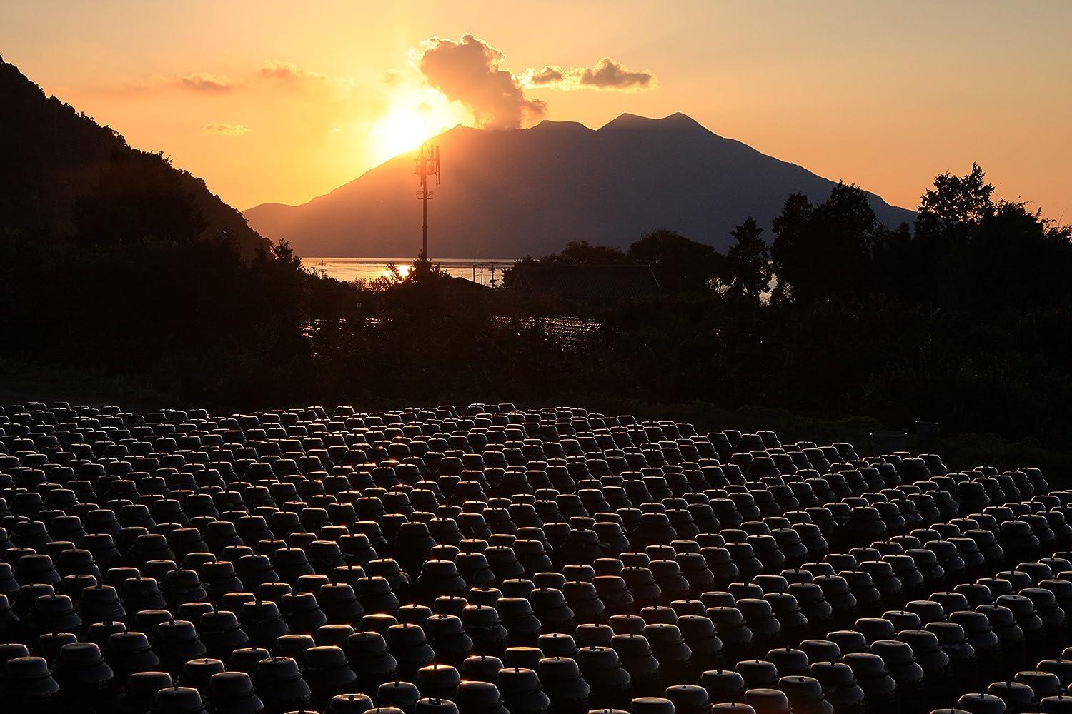 KAKUIDA Red Yeast Rice Black Vinegar (Beni Koji) 16.9 Fl, Oz (500 ml)