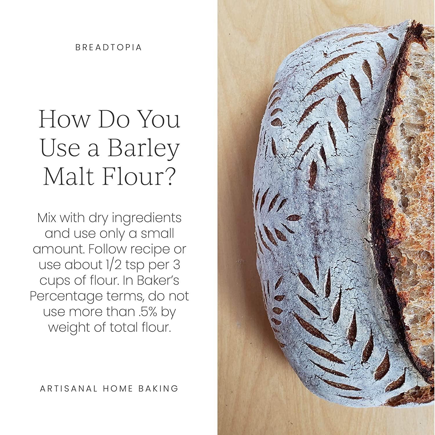 Breadtopia Organic Diastatic Malt Powder 8 oz. NonGMO Malted Barley