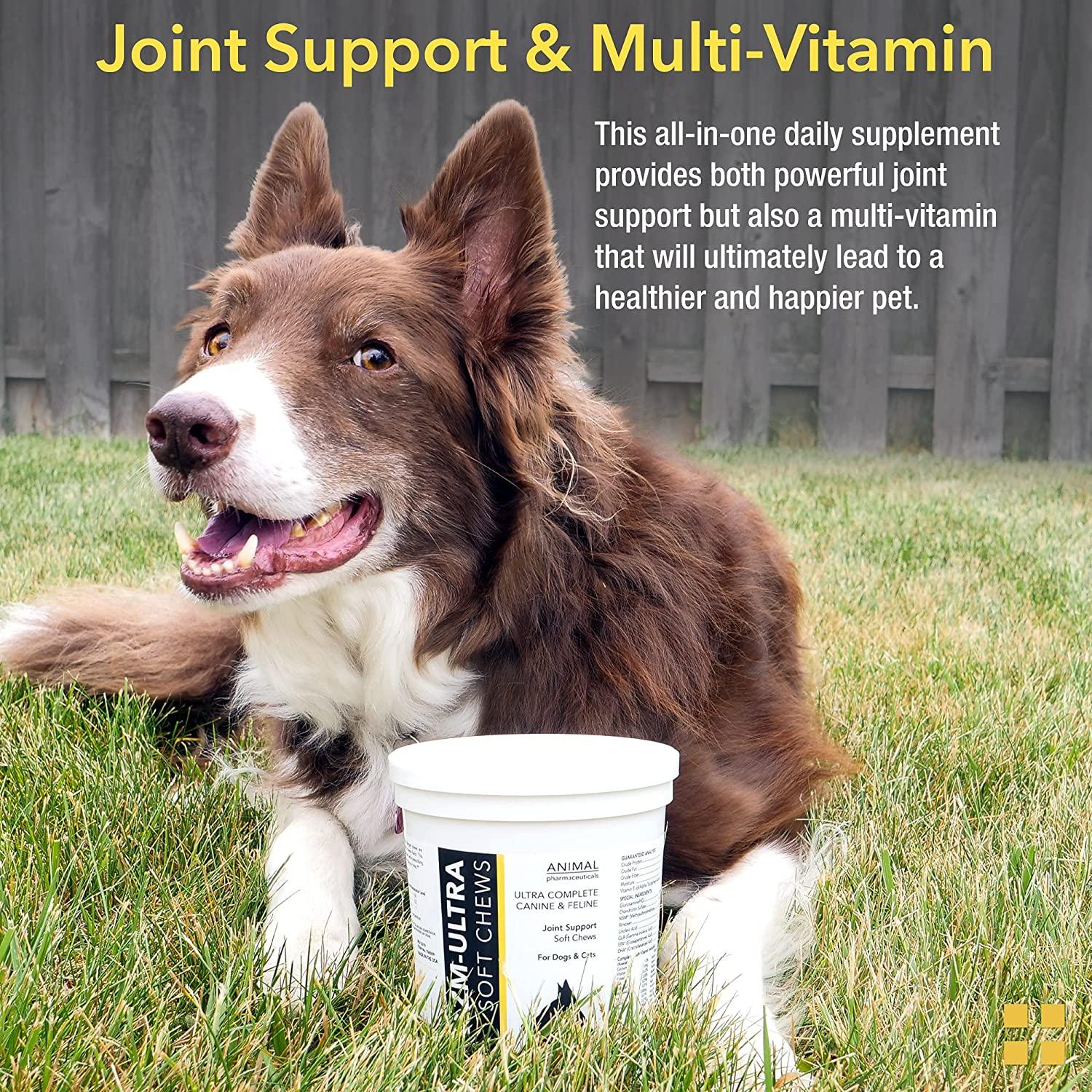 Animal Pharmaceuticals ZMUltra Complete Joint Support Soft Chews