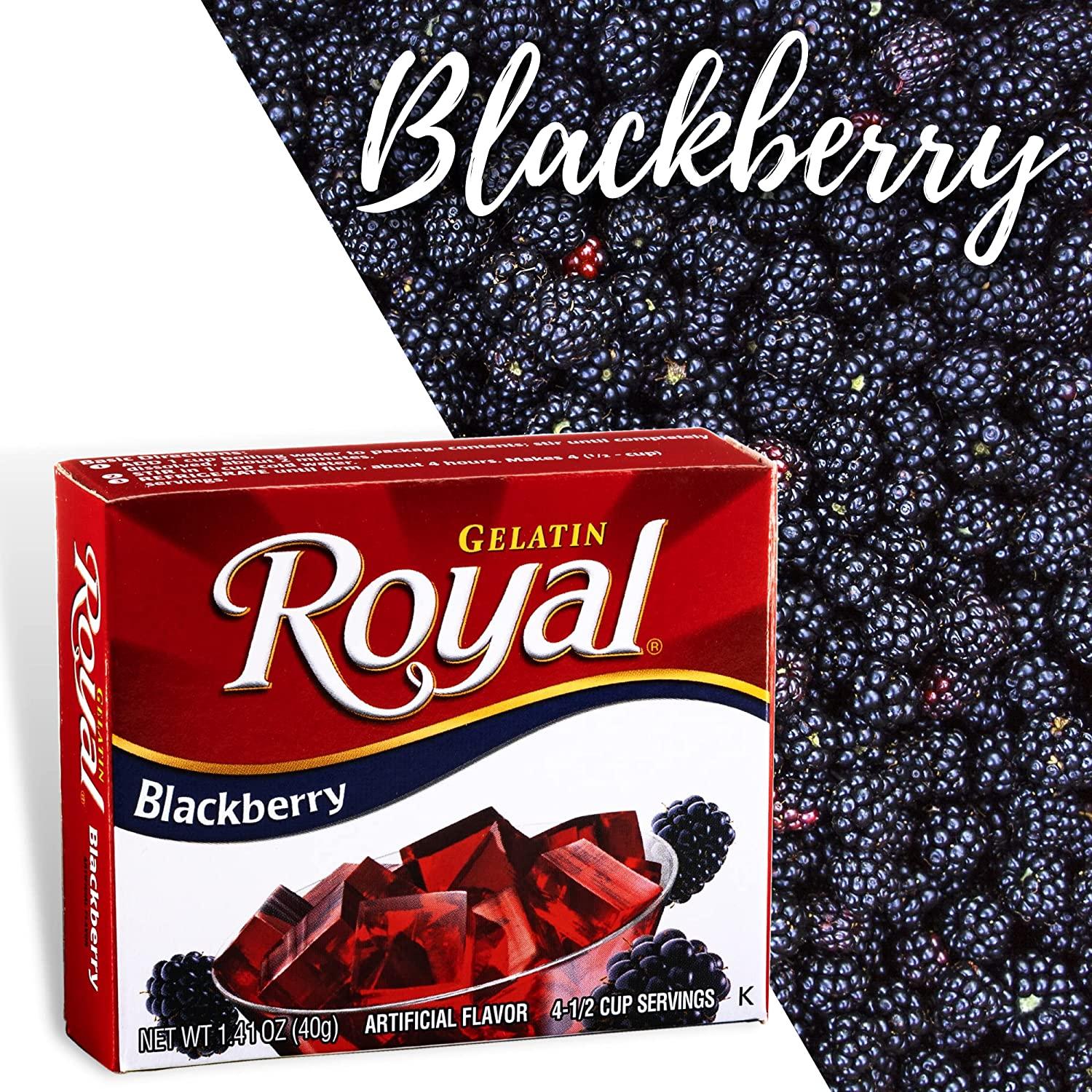 Royal Blackberry Gelatin Pack of 6 1.4 Ounce Boxes Bundle with