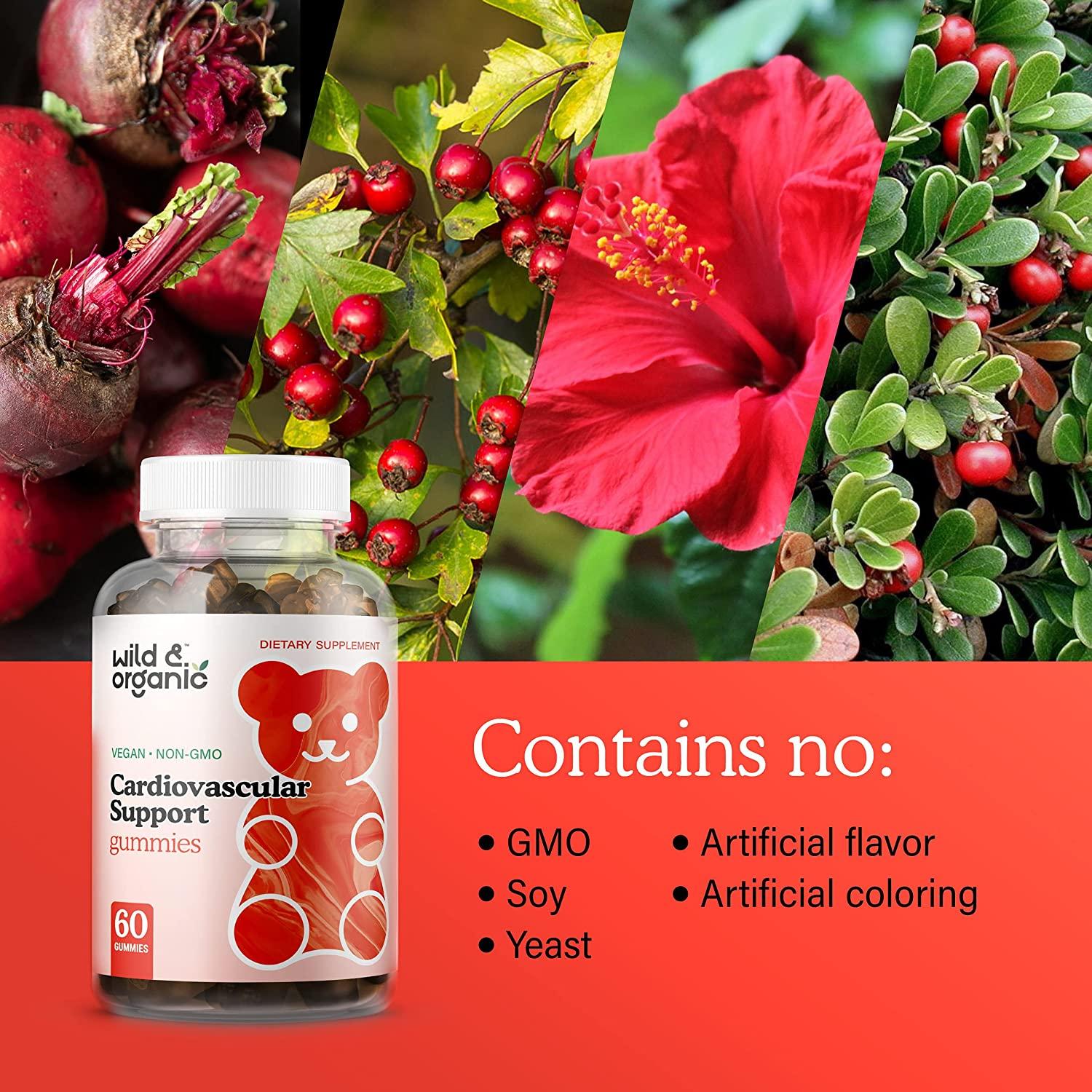 Wild Organic Blood Pressure Support Gummies Dietary Supplement for