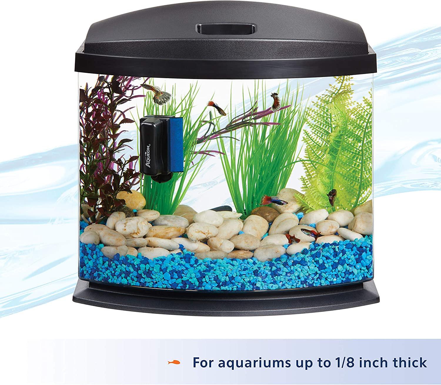 Aqueon Aquarium Algae Cleaning