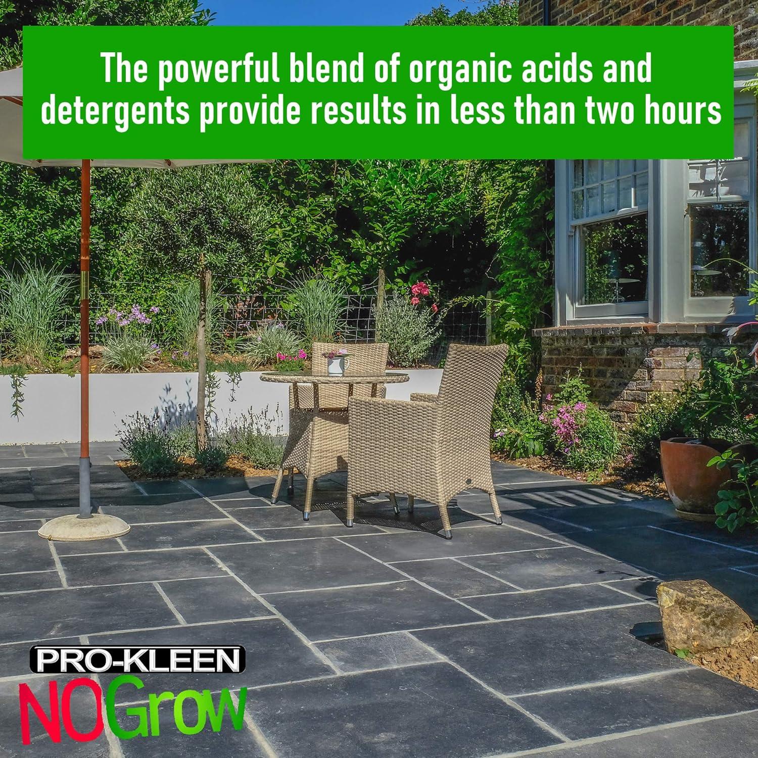 ProKleen Path & Patio Cleaner Concentrated Liquid Solution Makes