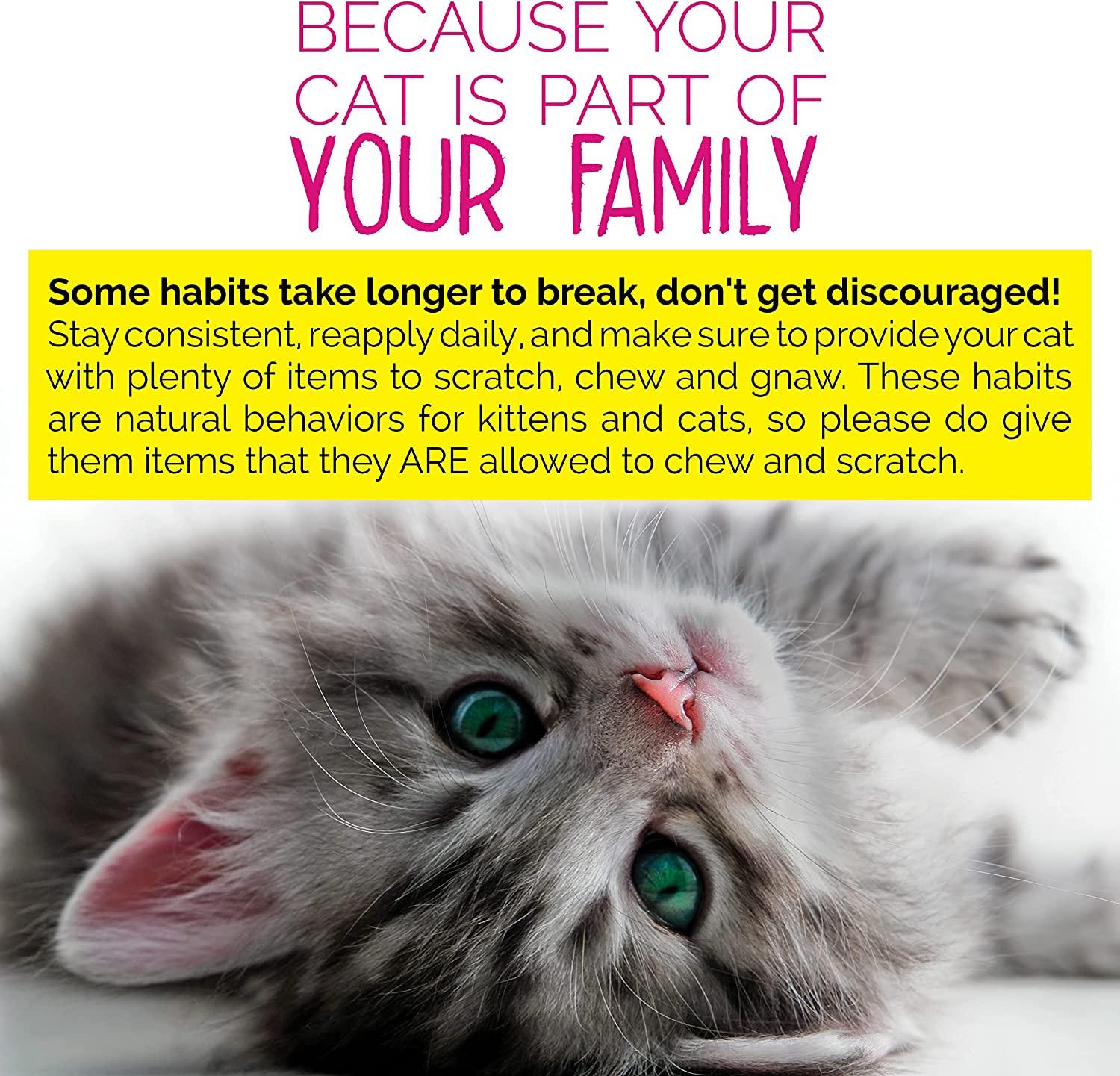 Cat chewing deterrent clearance