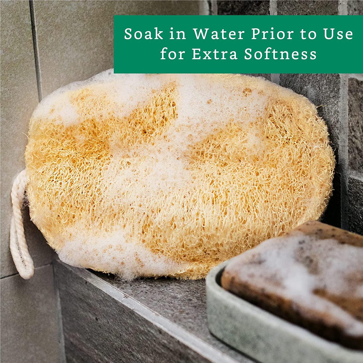 100 Natural Loofah Exfoliating Sponge (4 Pack) Loofah Body Scrubber
