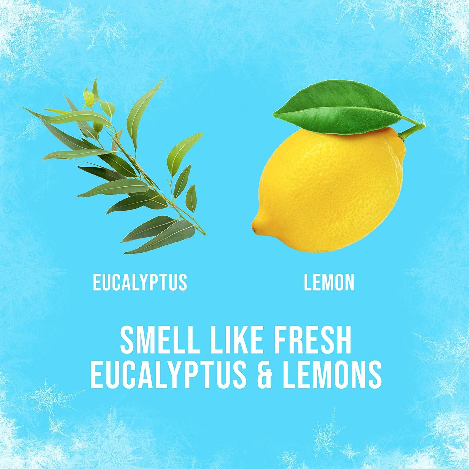 Axe Deodorant Body Spray Ice Chill Frozen Lemon & Eucalyptus Net