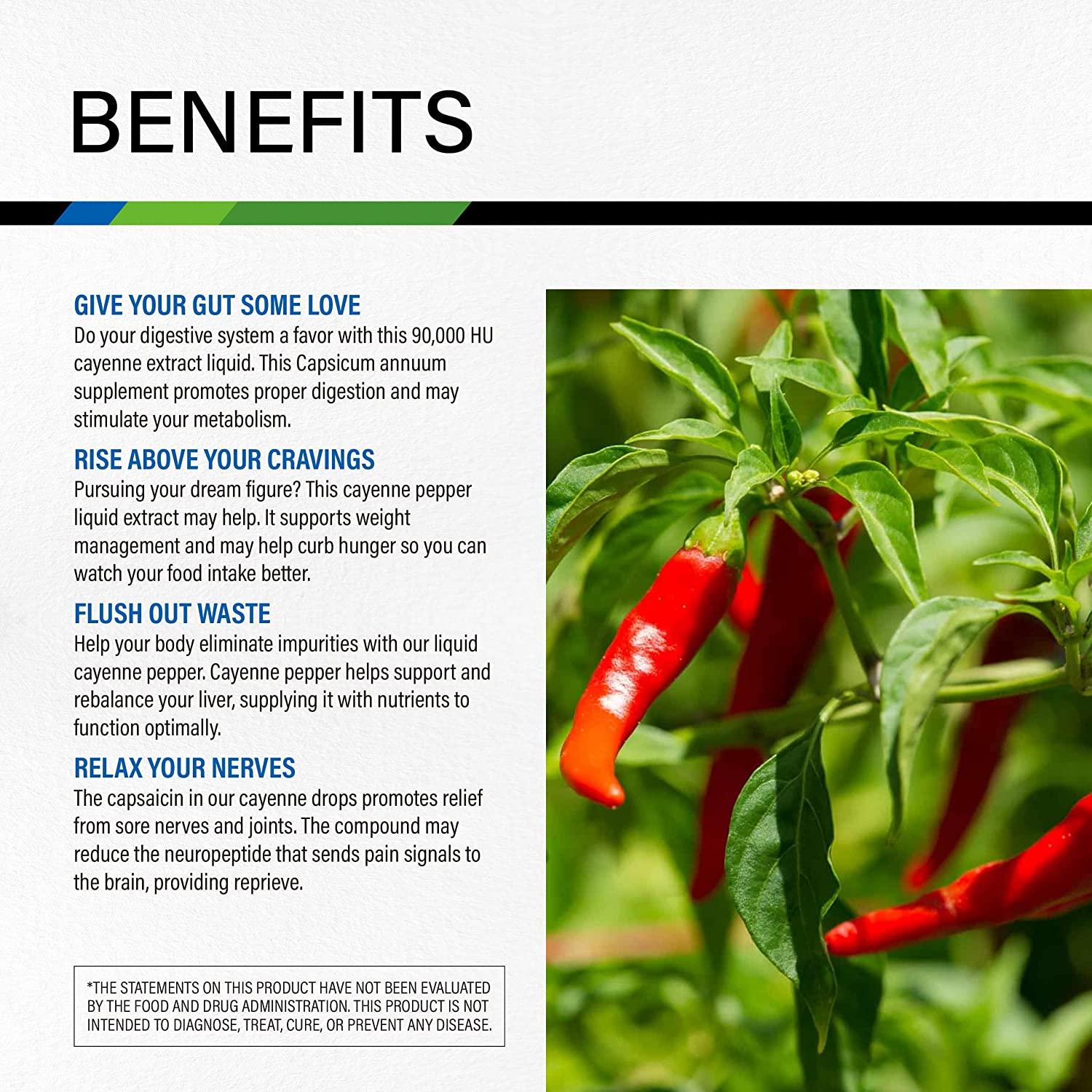 Organic Cayenne Tincture 4 Fl Oz Digestive Support, Joint Health