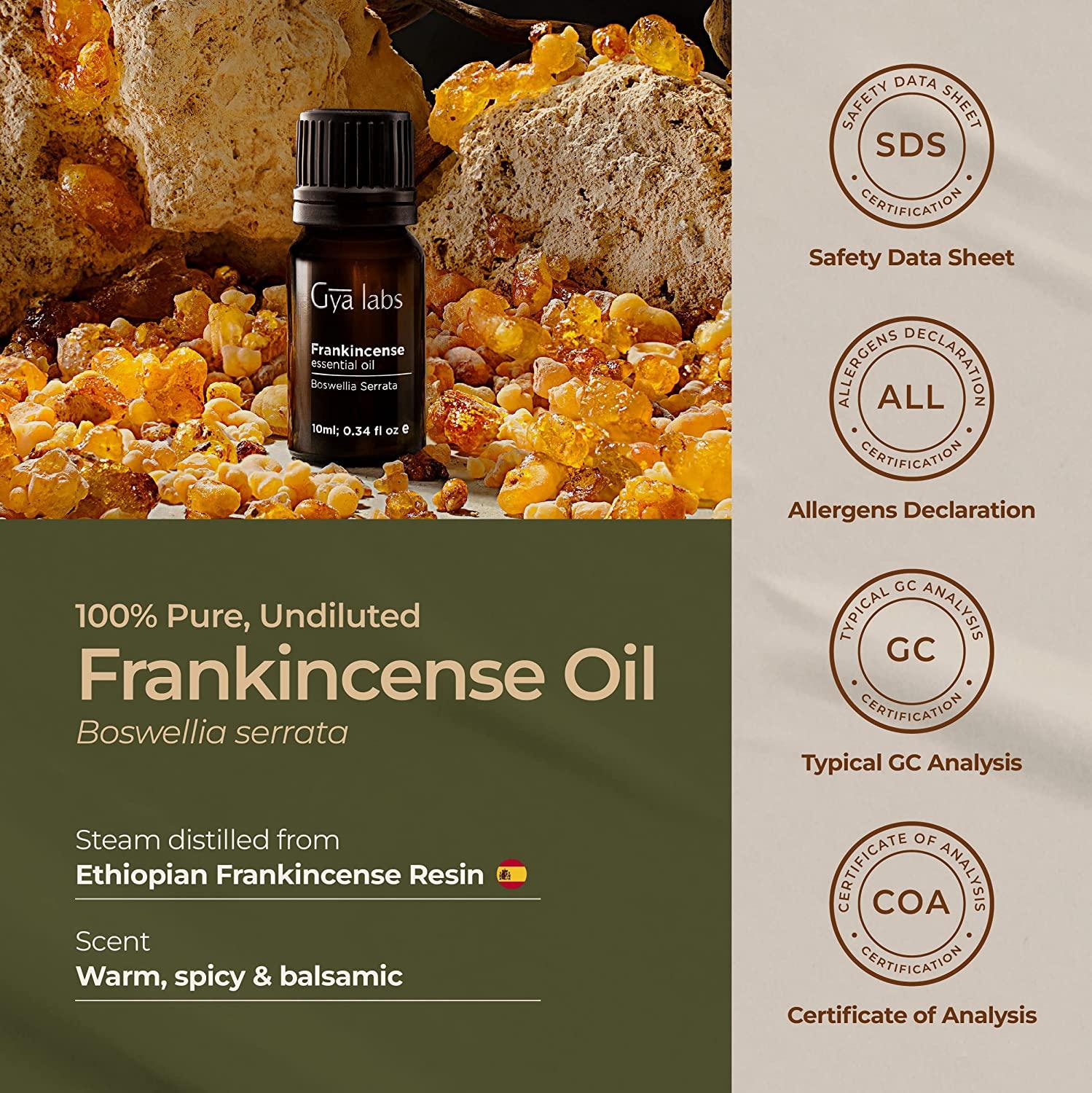 Gya Labs Pure Frankincense Essential Oil for Pain & Skin (0.34 fl oz) -  100% Natural Therapeutic Grade Frankincense Essential Oils for Aromatherapy  & Frankincense Oil for Diffuser Frankincense 0.34 Fl Oz (Pack of 1)