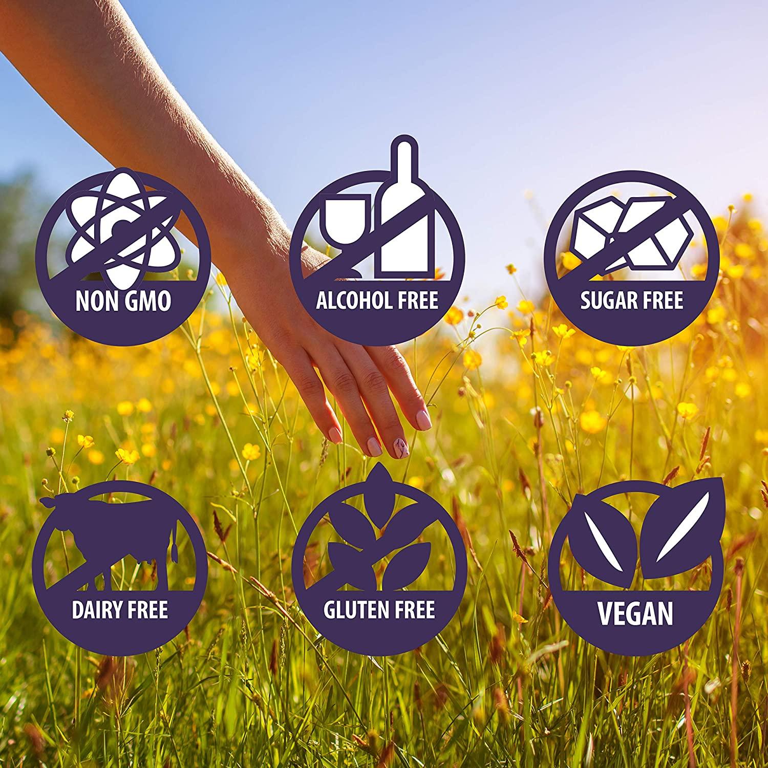 Siddha Remedies Energy & Motivation Spray 100 Natural Homeopathic