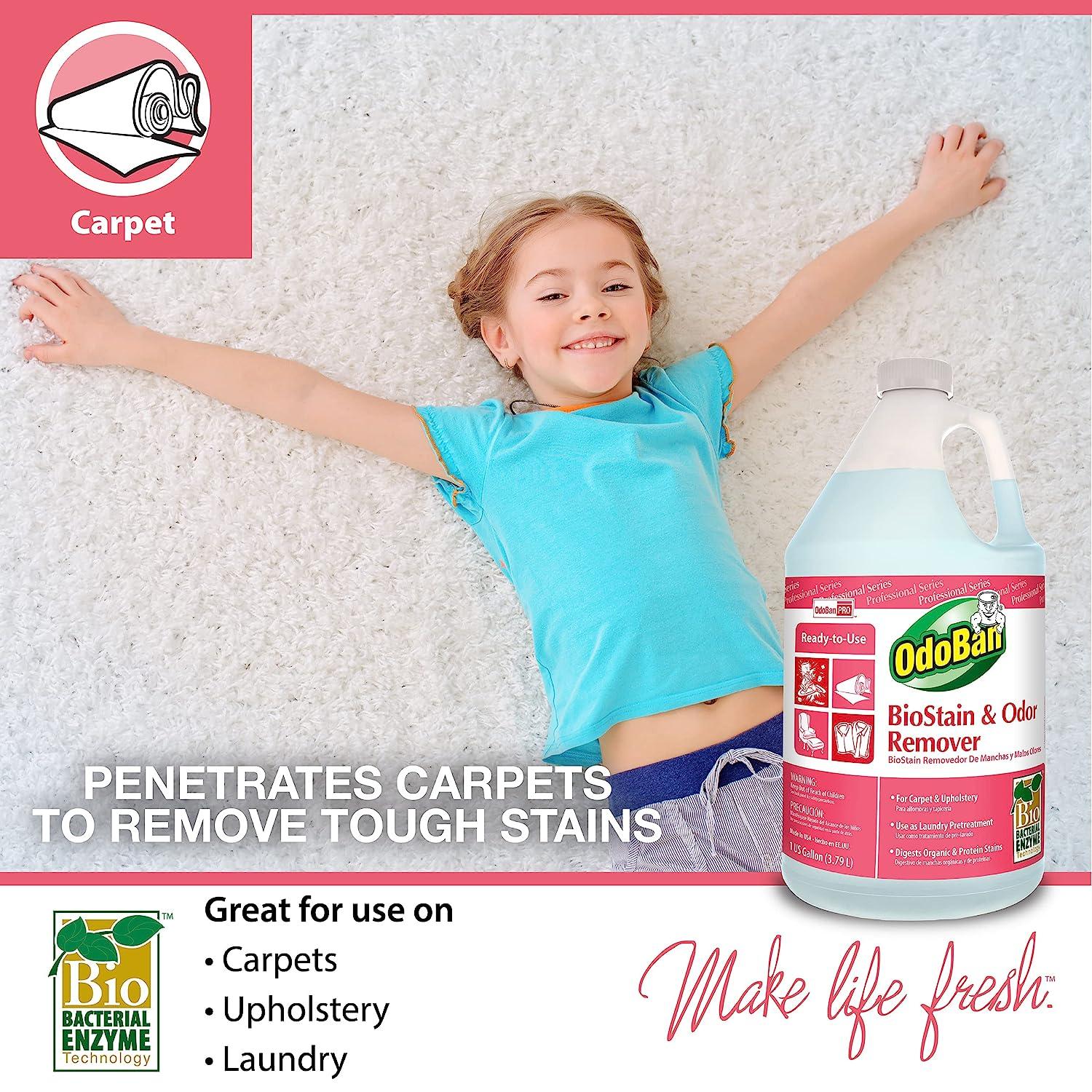 OdoBan Professional Cleaning ReadytoUse BioStain and Odor Remover, 1