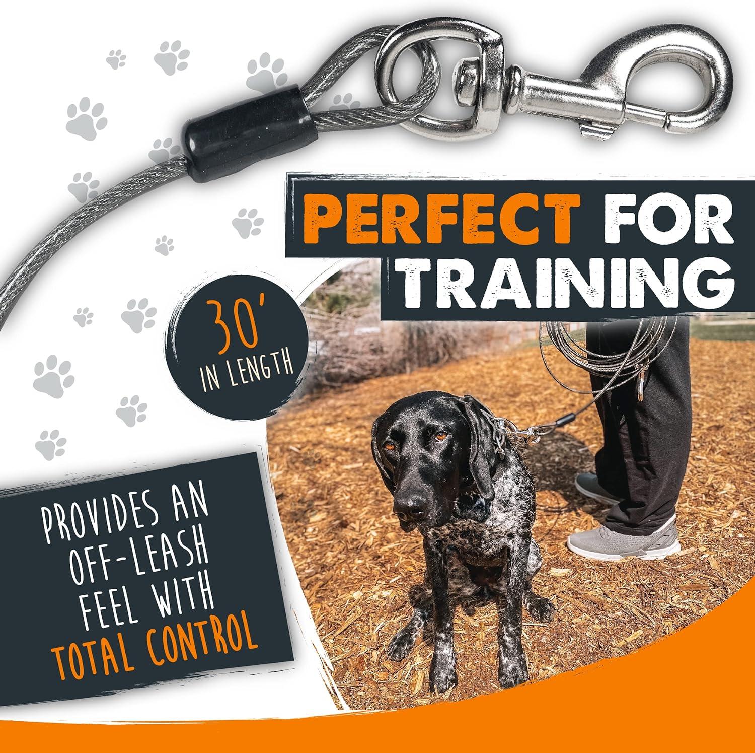 Mighty Paw 9m Dog Tie Out Cable | Chew Proof Braided Steel Tether Lead for  X-Large Dogs 25-50kg | Ideal for Yard, Camping, Beach & Garden | Buy Now  with Express International