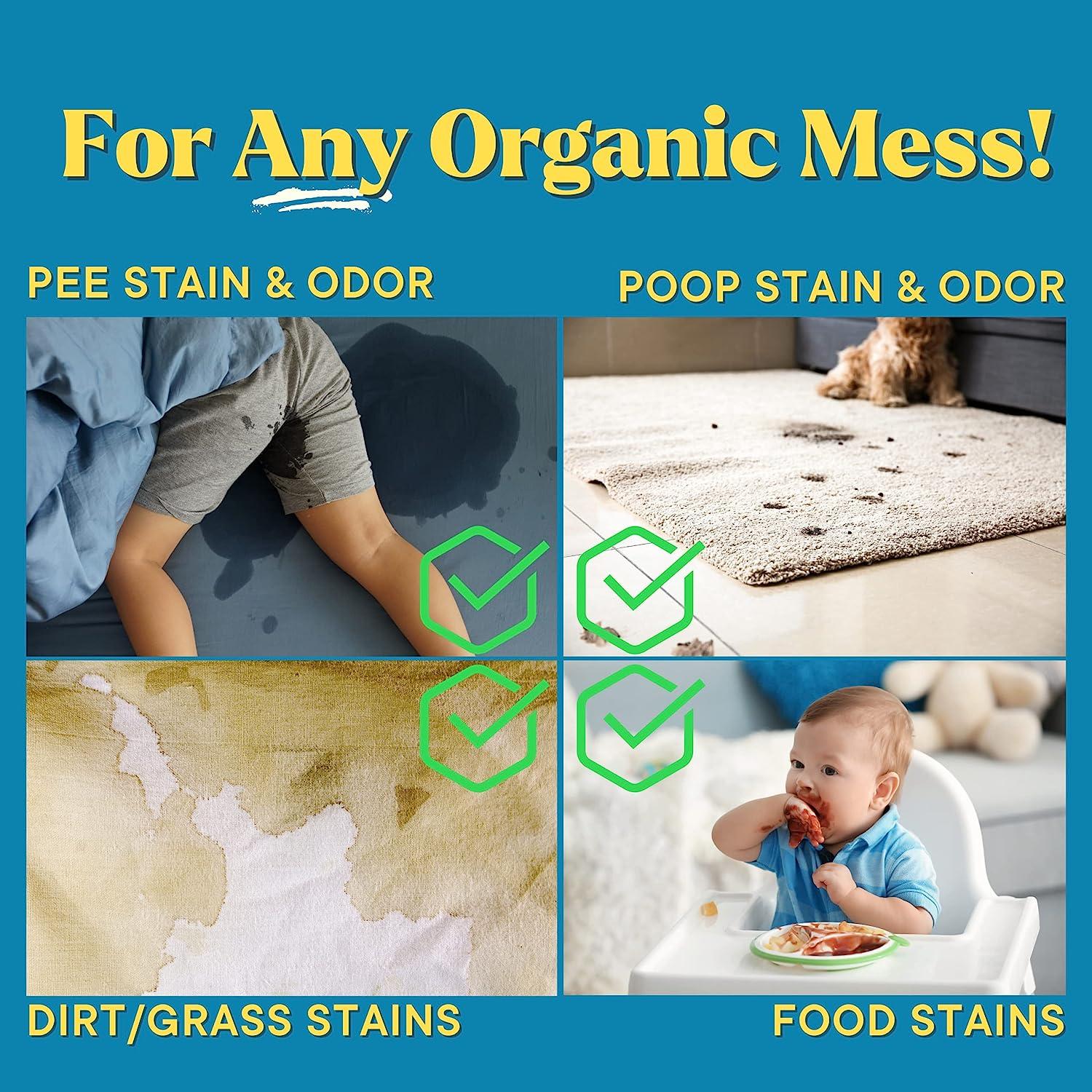 Good Life Solutions Natural Odor and Stain Remover Spray Unscented