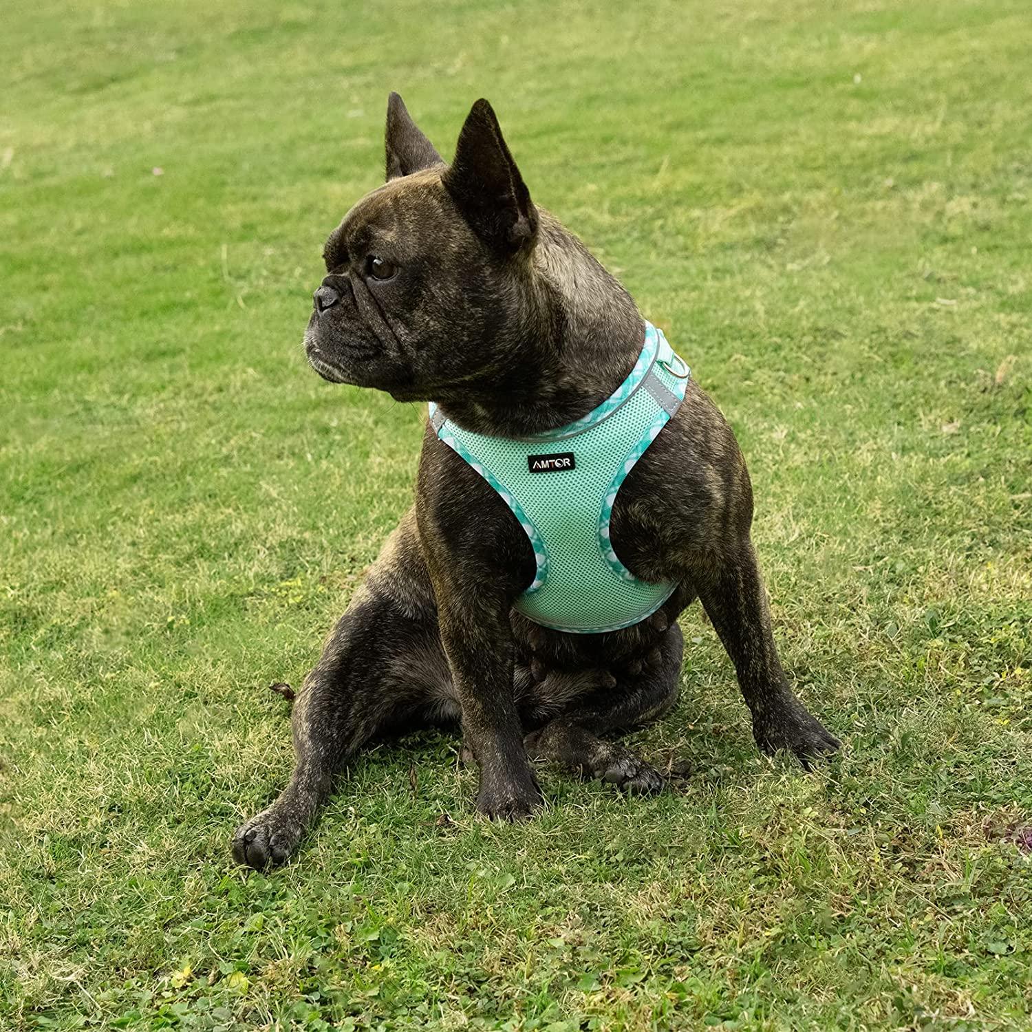 AMTOR Dog Harness with Leash Set No Pull Adjustable Reflective