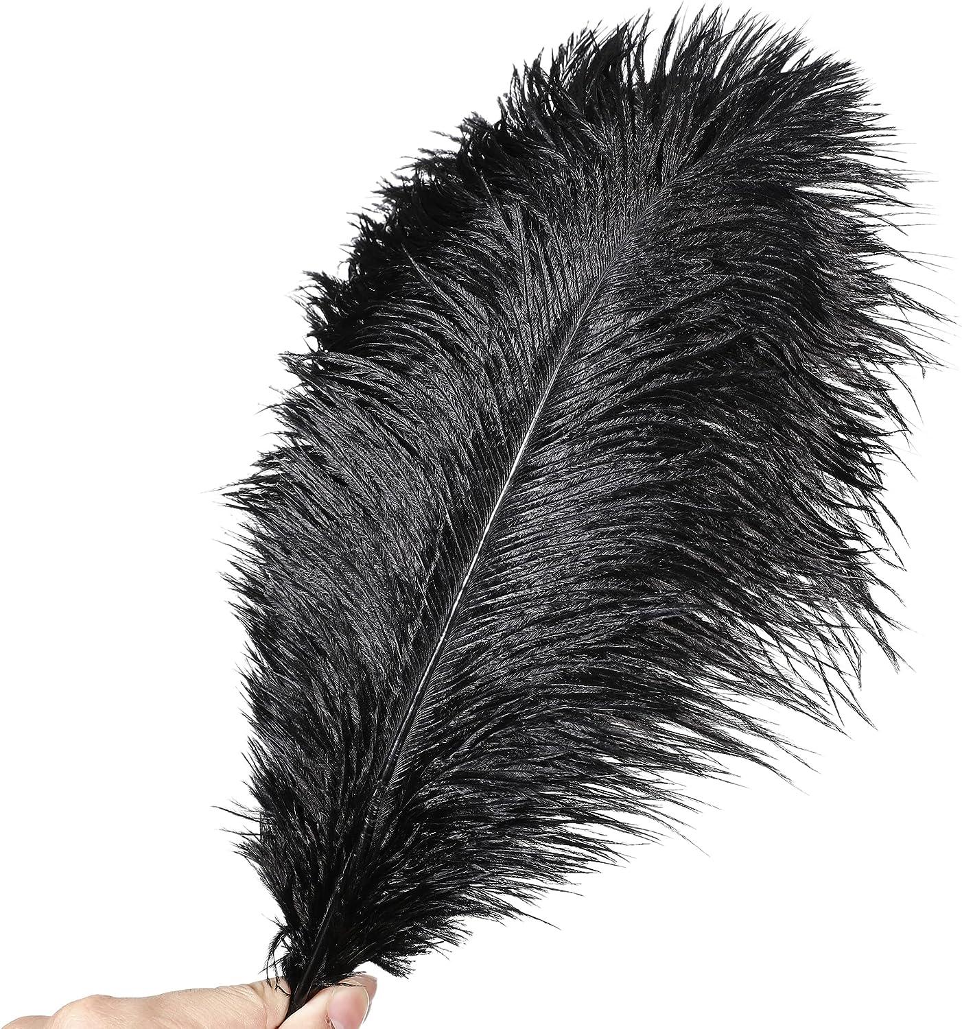 80 Pcs Natural Ostrich Feathers Bulk with 80 Pcs Iron Wire 10 to
