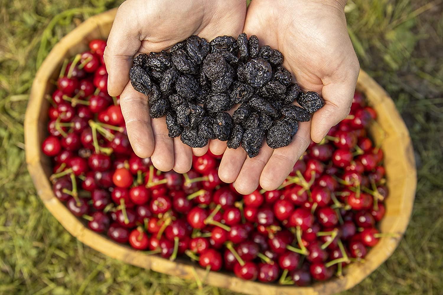 Dried Dark Sweet Cherries 1lb Bag Unsweetened & SugarFree Sunrise