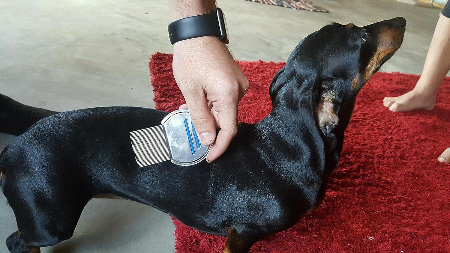 Stainless Steel Head Lice Comb For Pets And Humans For Lice,Flea, and