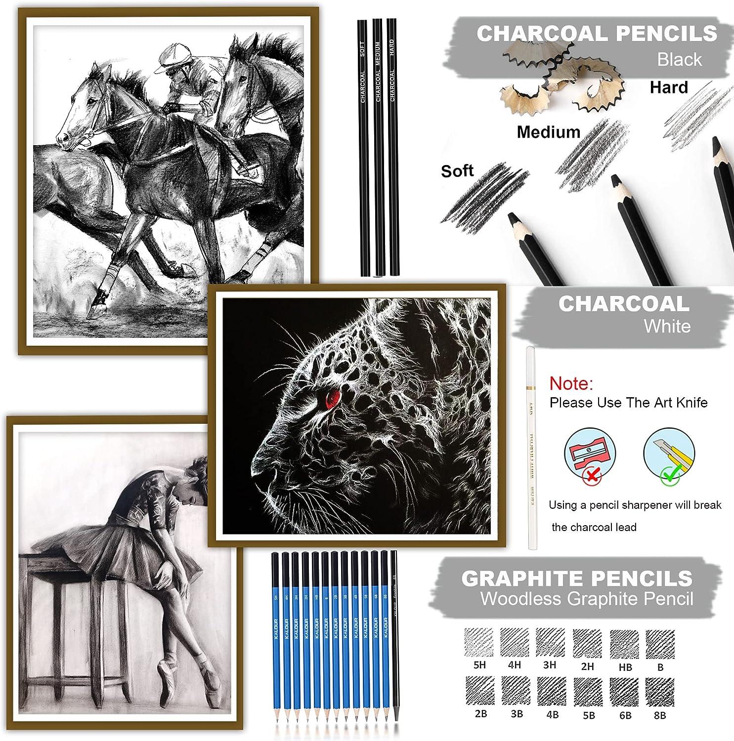 KALOUR 54-Pack Sketch Drawing Pencils Kit with Sketchbook,Include Graphite,Charcoal Pencils and Artists Tools,Pro Art Drawing Supplies for Adults